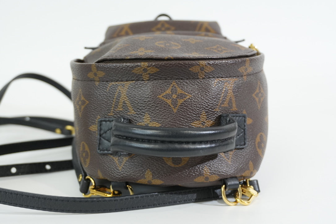 Pre-owned Louis Vuitton Monogram Mini Palmspring Backpack