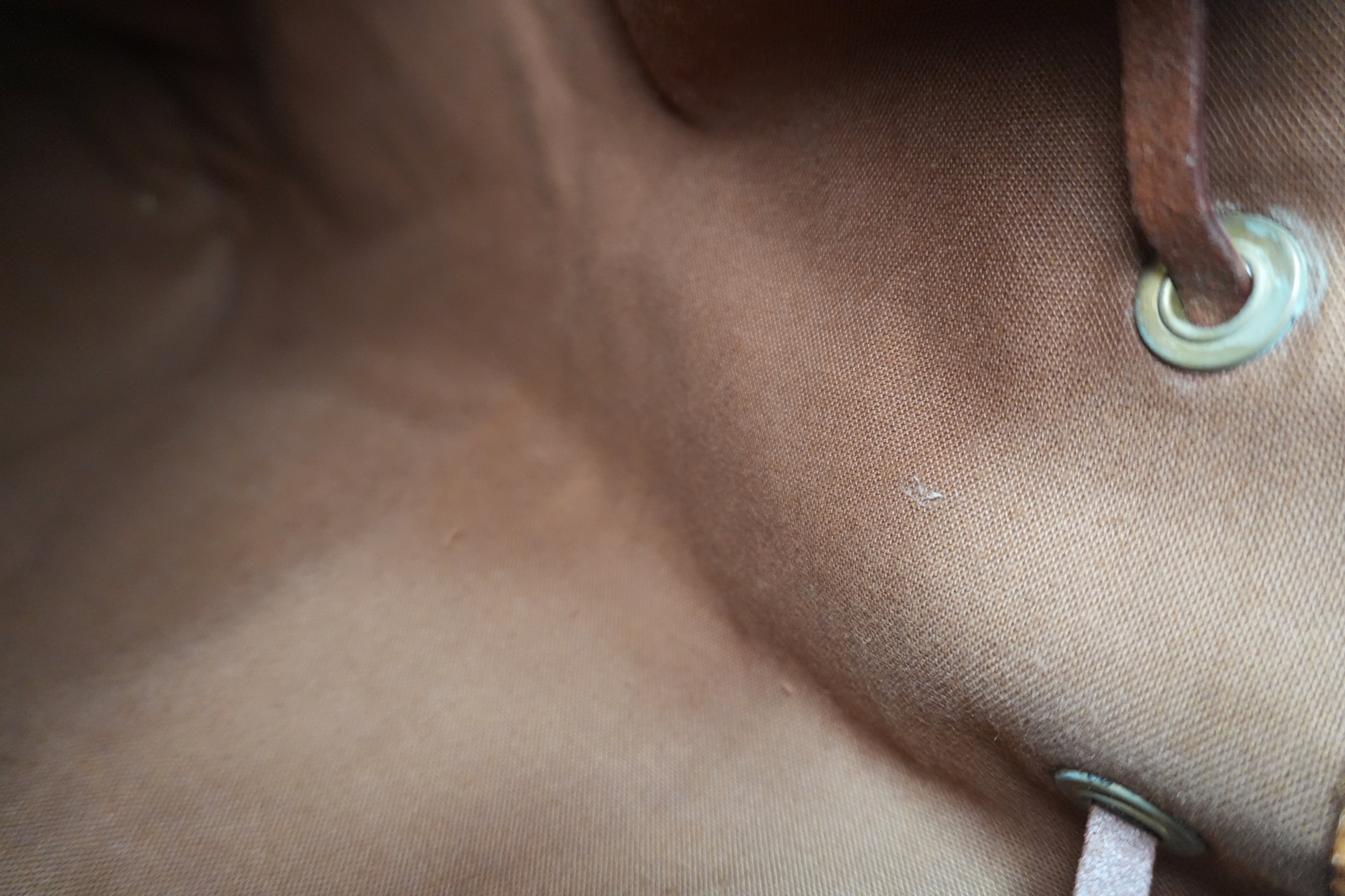 Louis Vuitton Monogram Montsouris GM Backpack Used