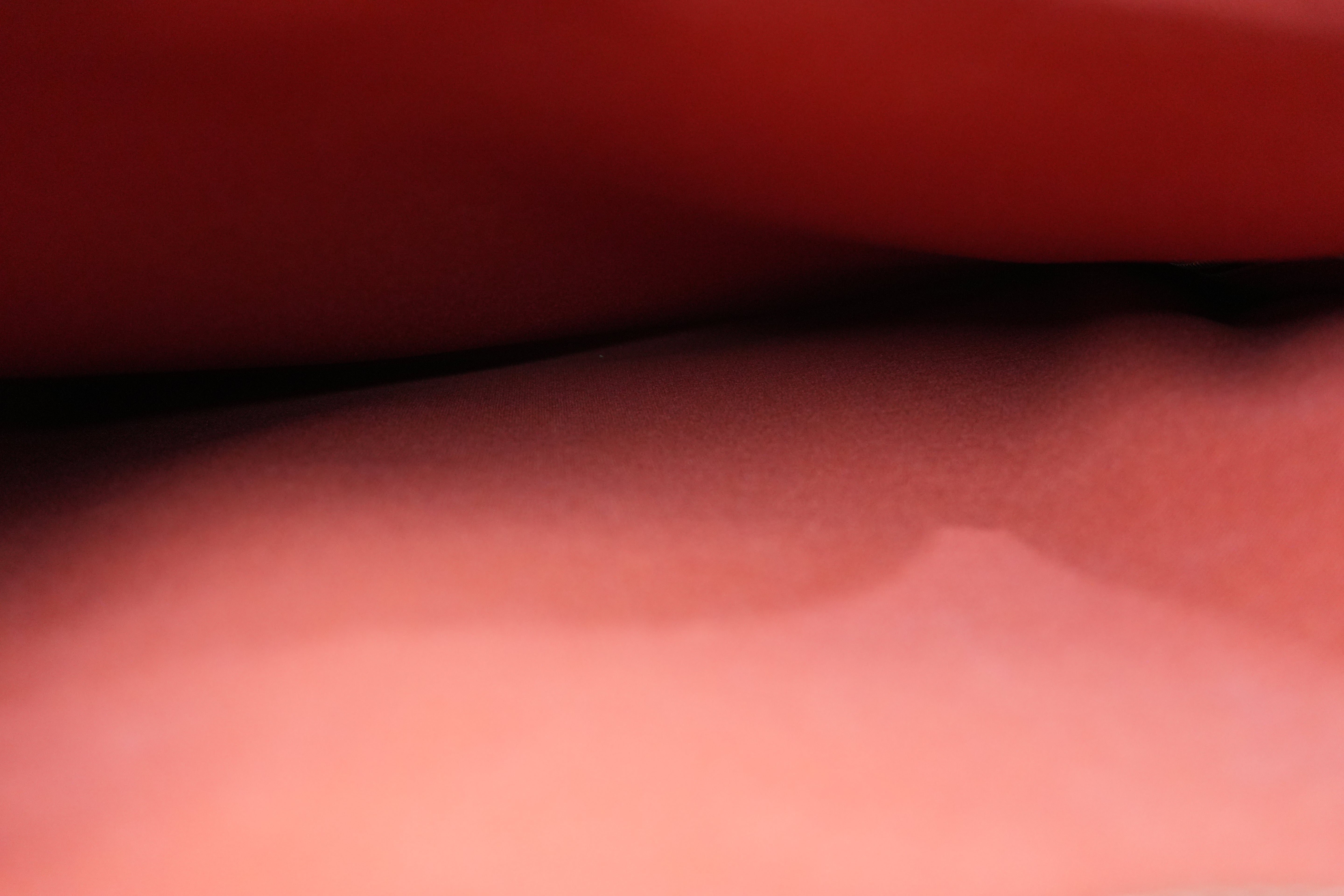 Pre-owned Louis Vuitton Damier Ebene Pegase 55 Rolling Luggage