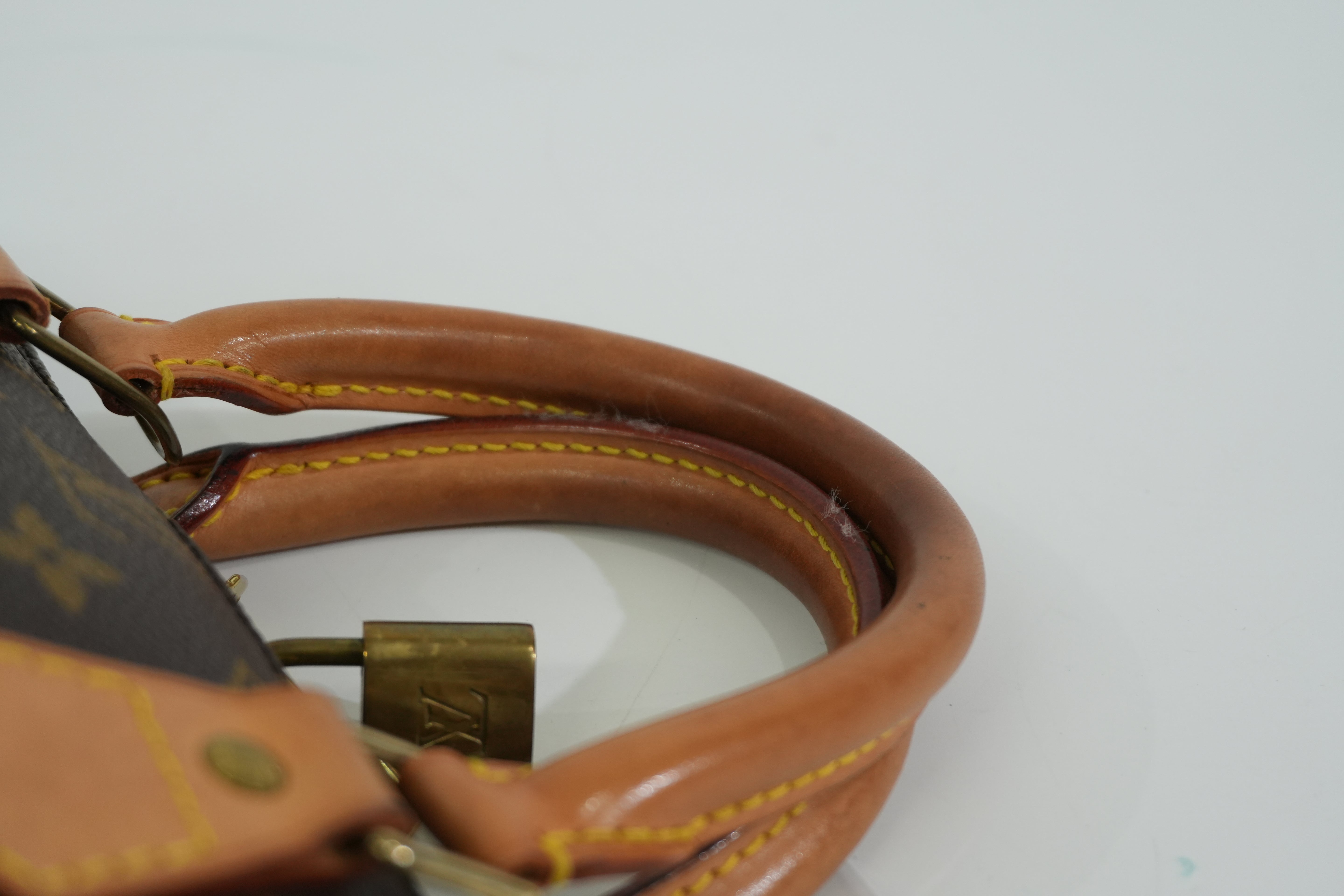 Pre-owned Louis Vuitton Monogram Alma PM Handbag