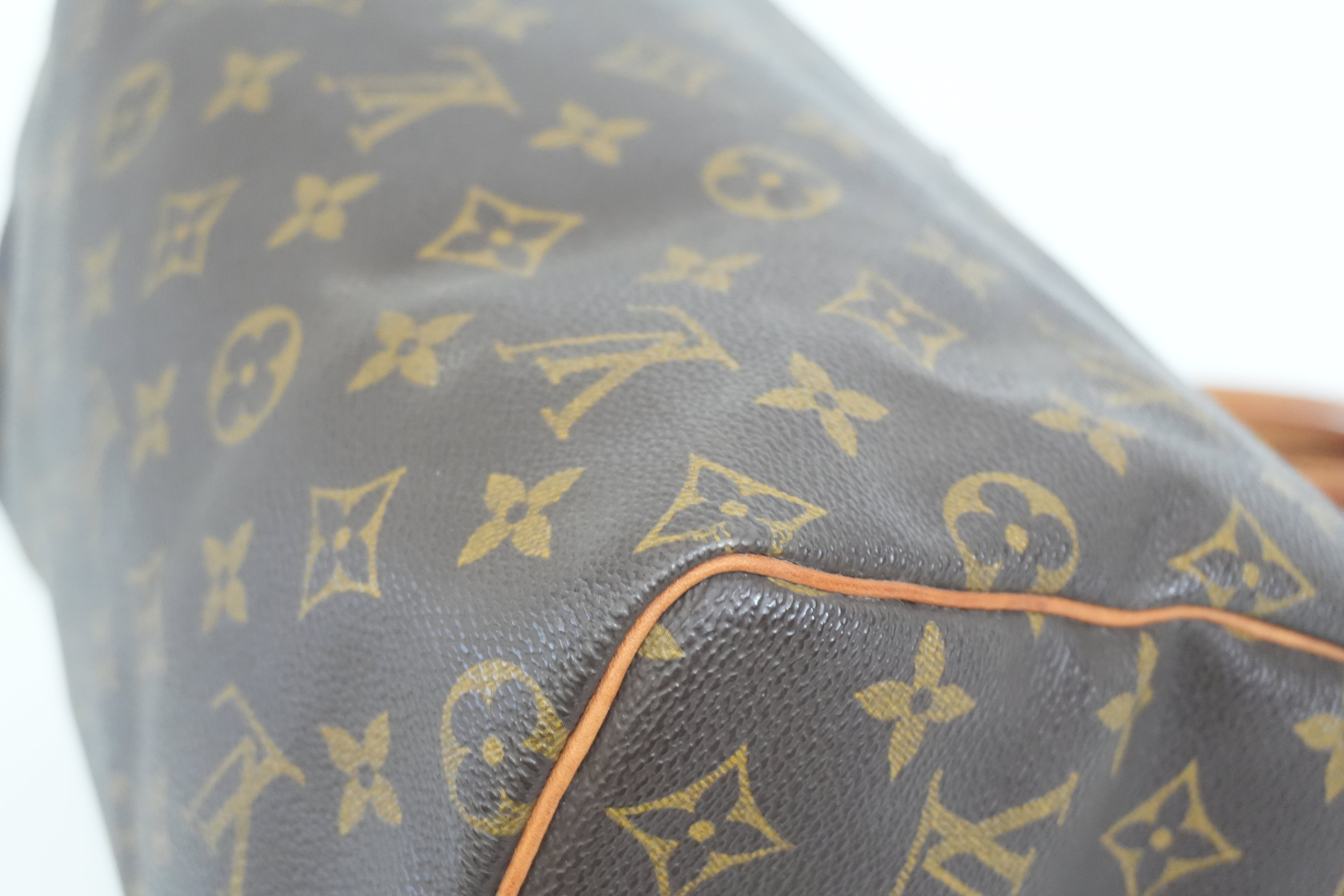 Pre-owned Louis Vuitton Monogram Speedy 25 Handbag
