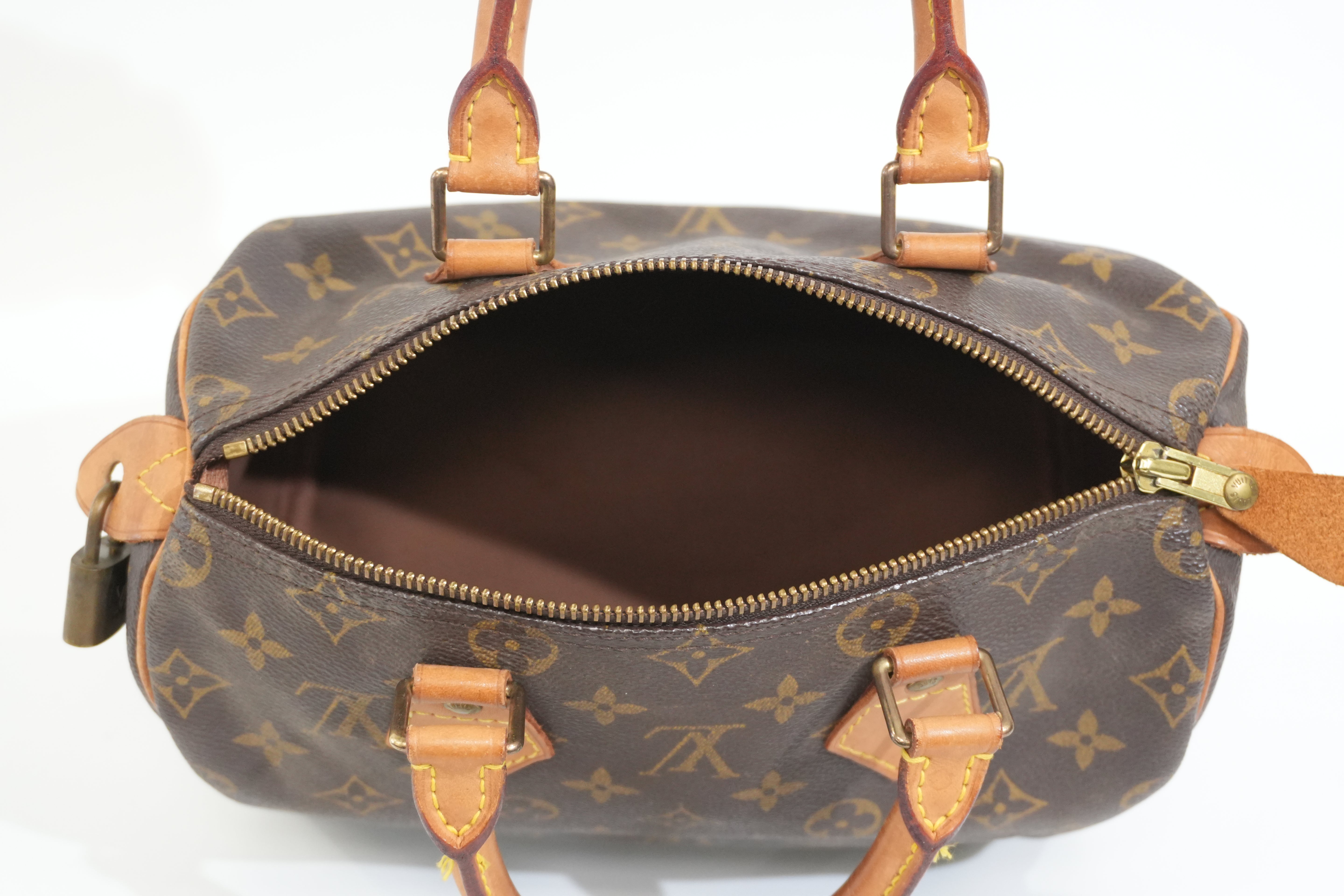 Pre-owned Louis Vuitton Monogram Speedy 25 Handbag