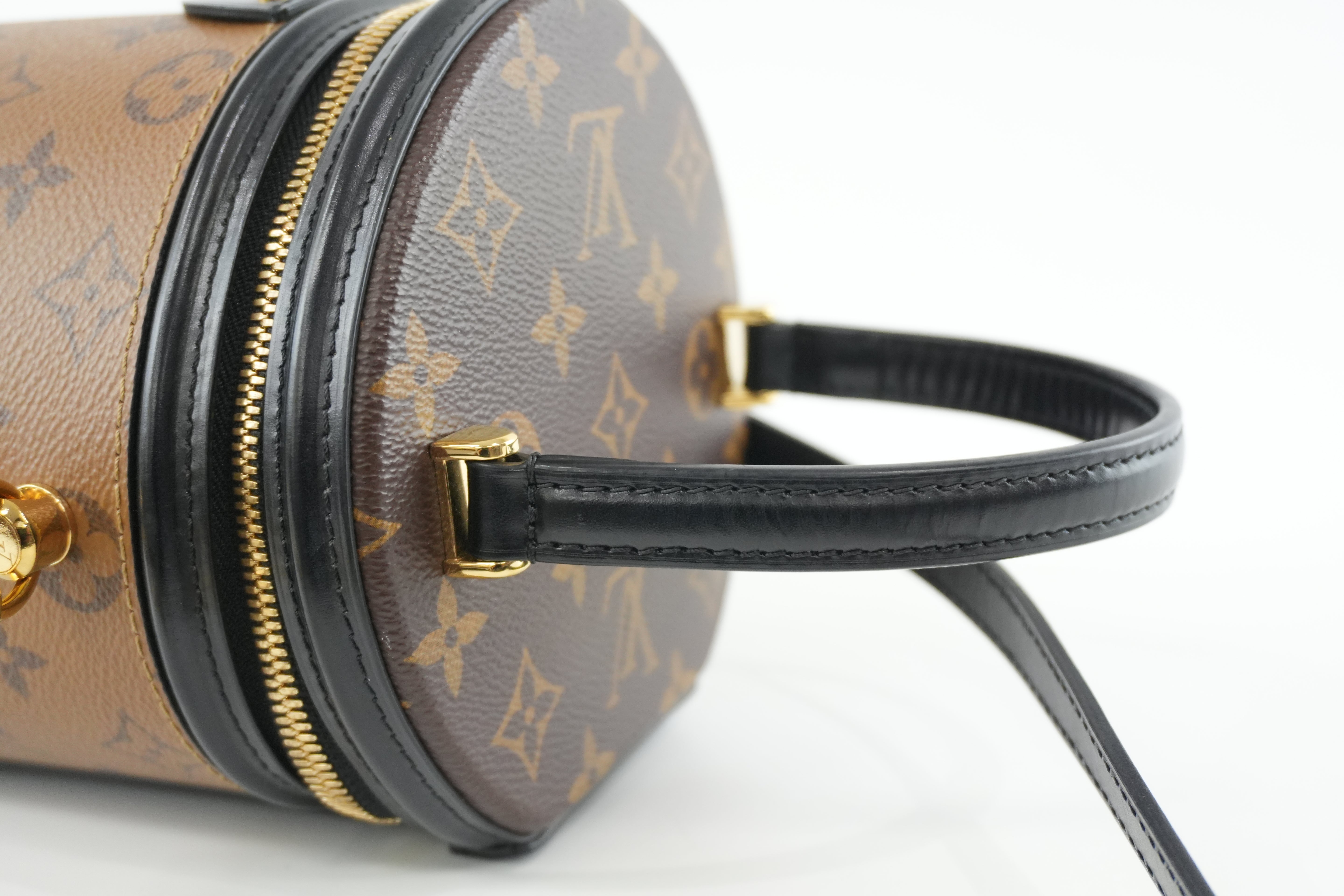 Louis Vuitton Monogram Cannes Reverse Vanity Shoulder Bag Used