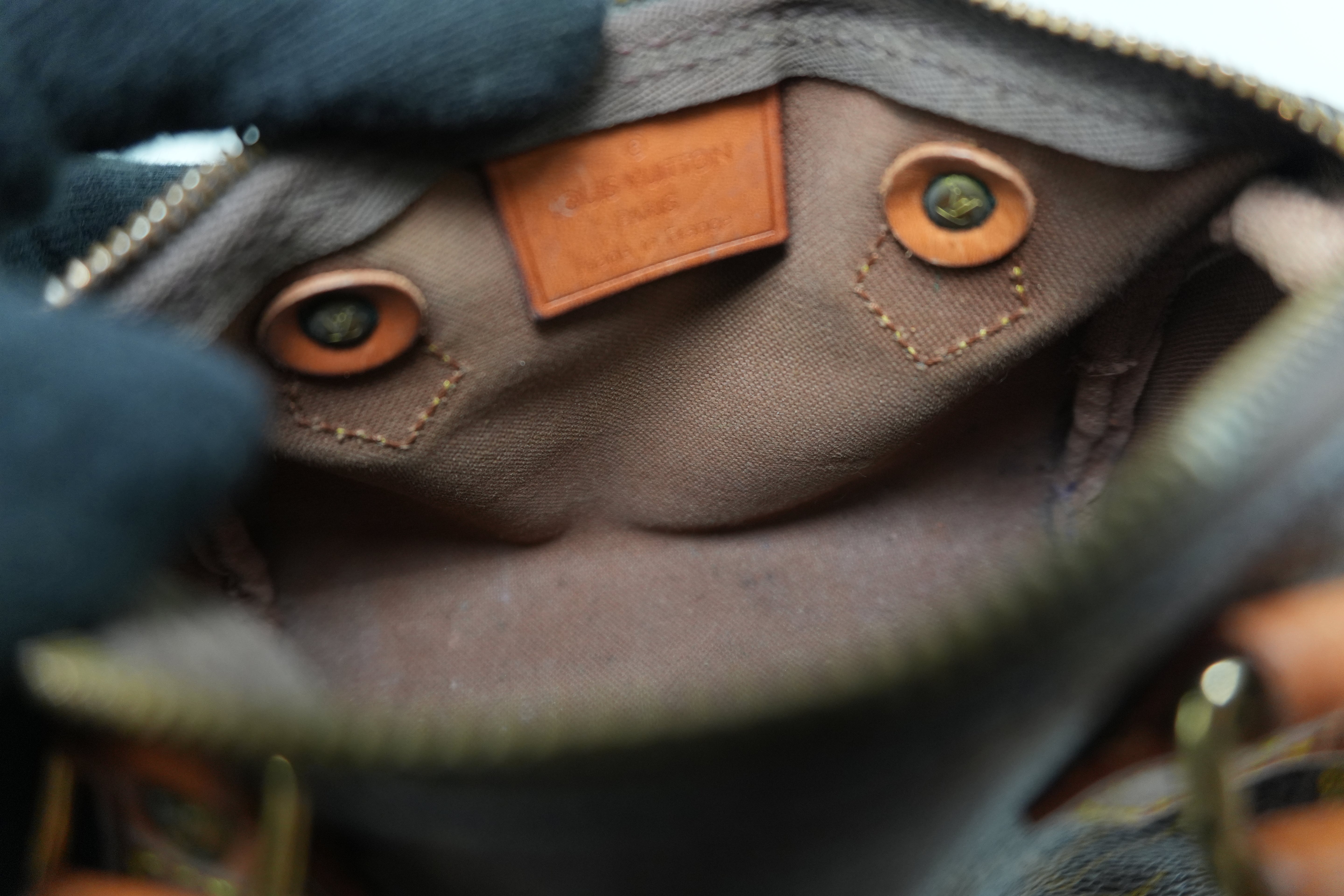 Pre-owned Louis Vuitton Monogram Mini Speedy Handbag