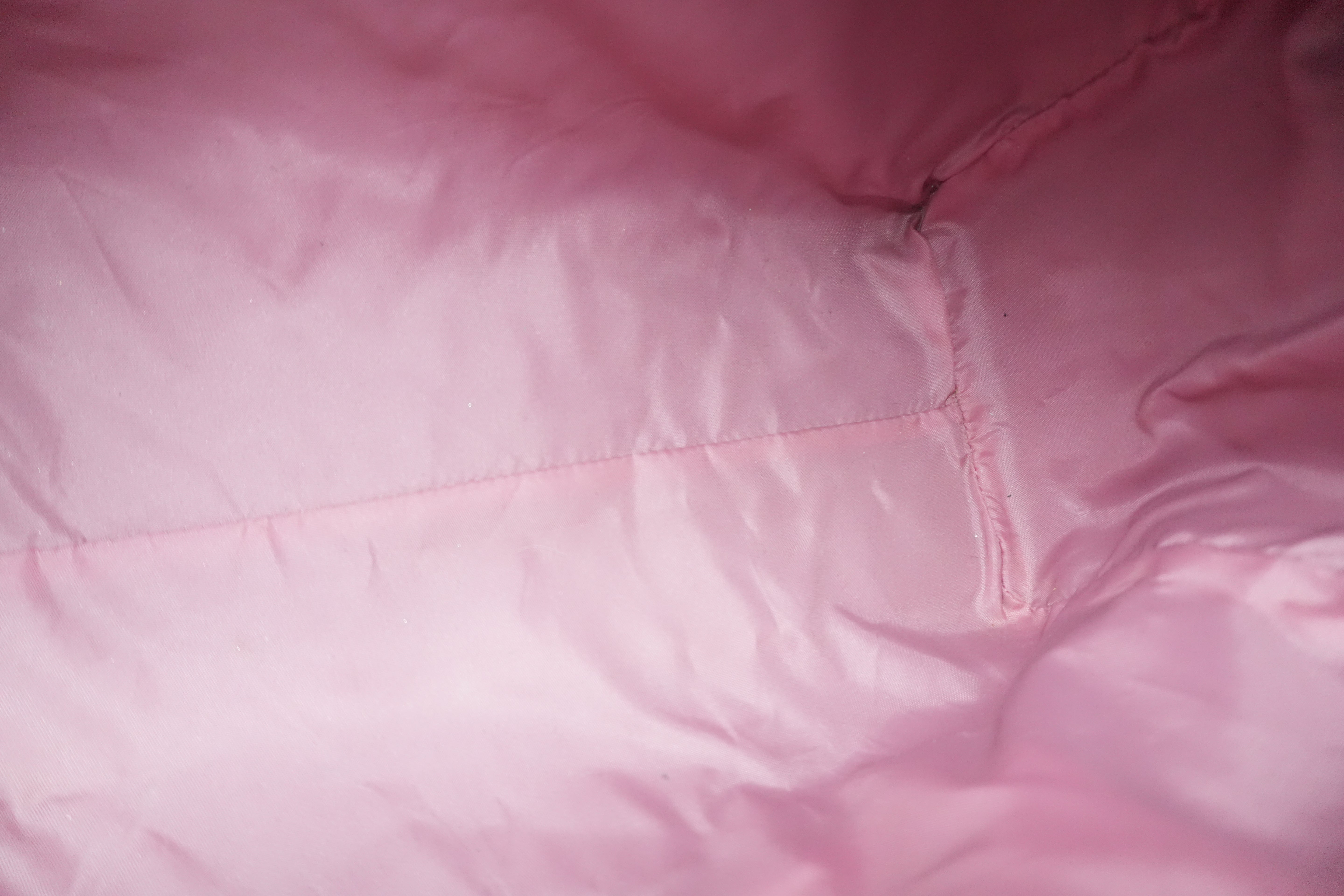 Pre-owned Dior Oblique Handbag Pink