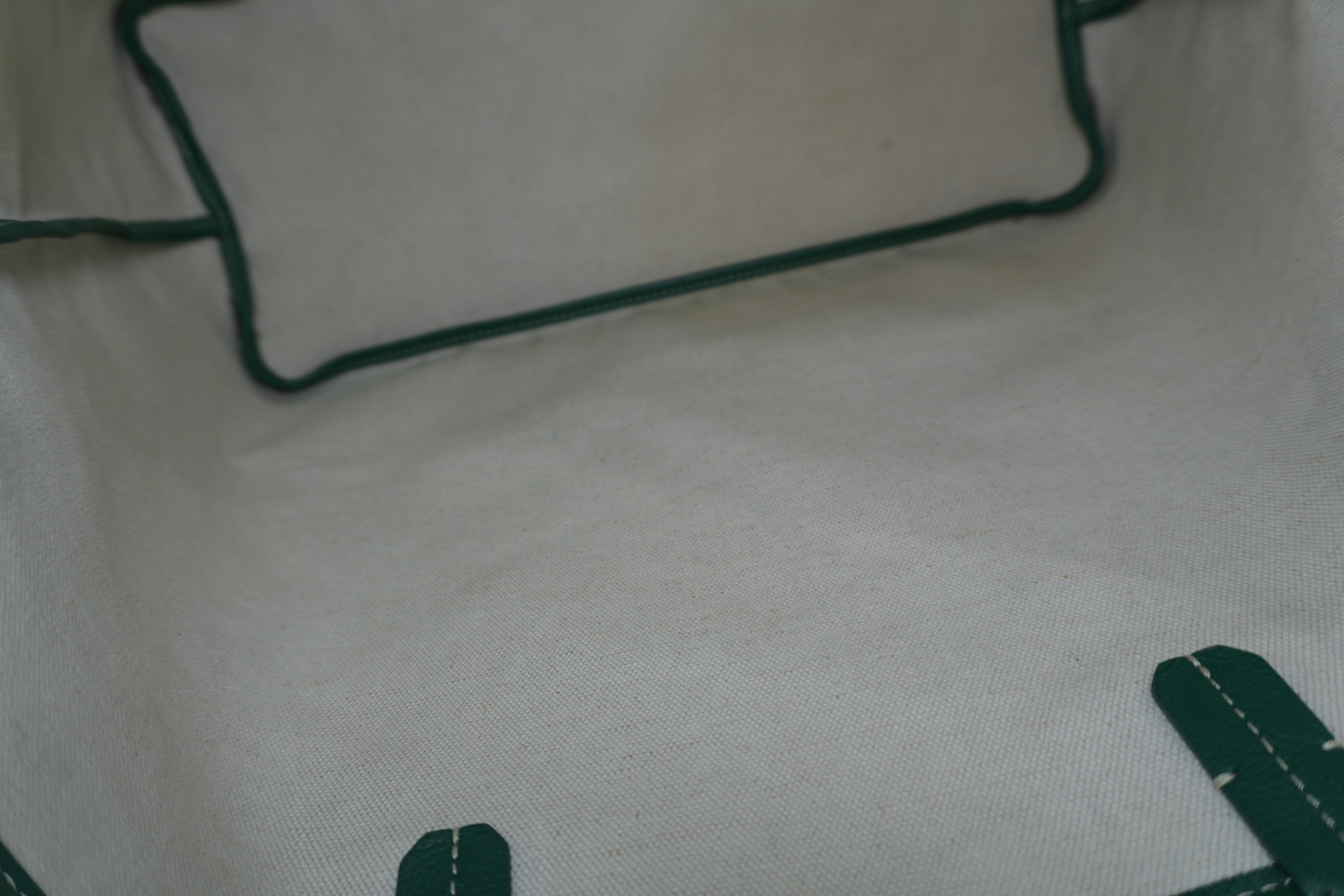 Pre-owned Goyard Saint Louis PM Green