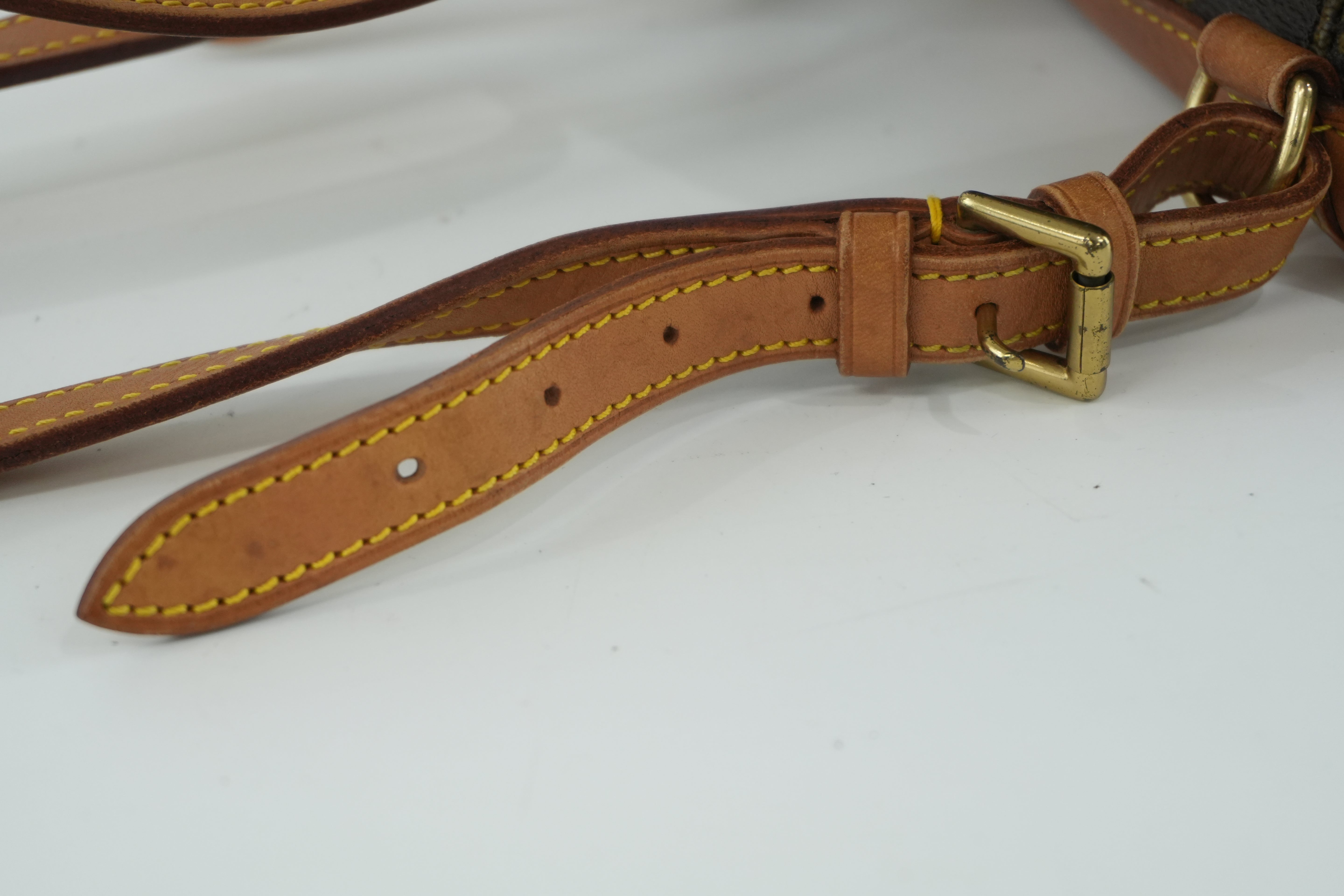 Pre-owned Louis Vuitton Monogram Mini Montsouris Backpack