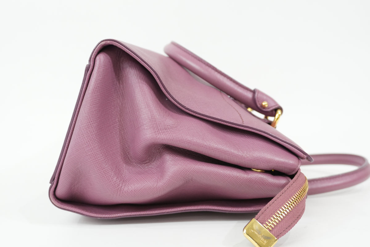 Pre-Owned Salvatore Ferragamo Beky Handbag Pink