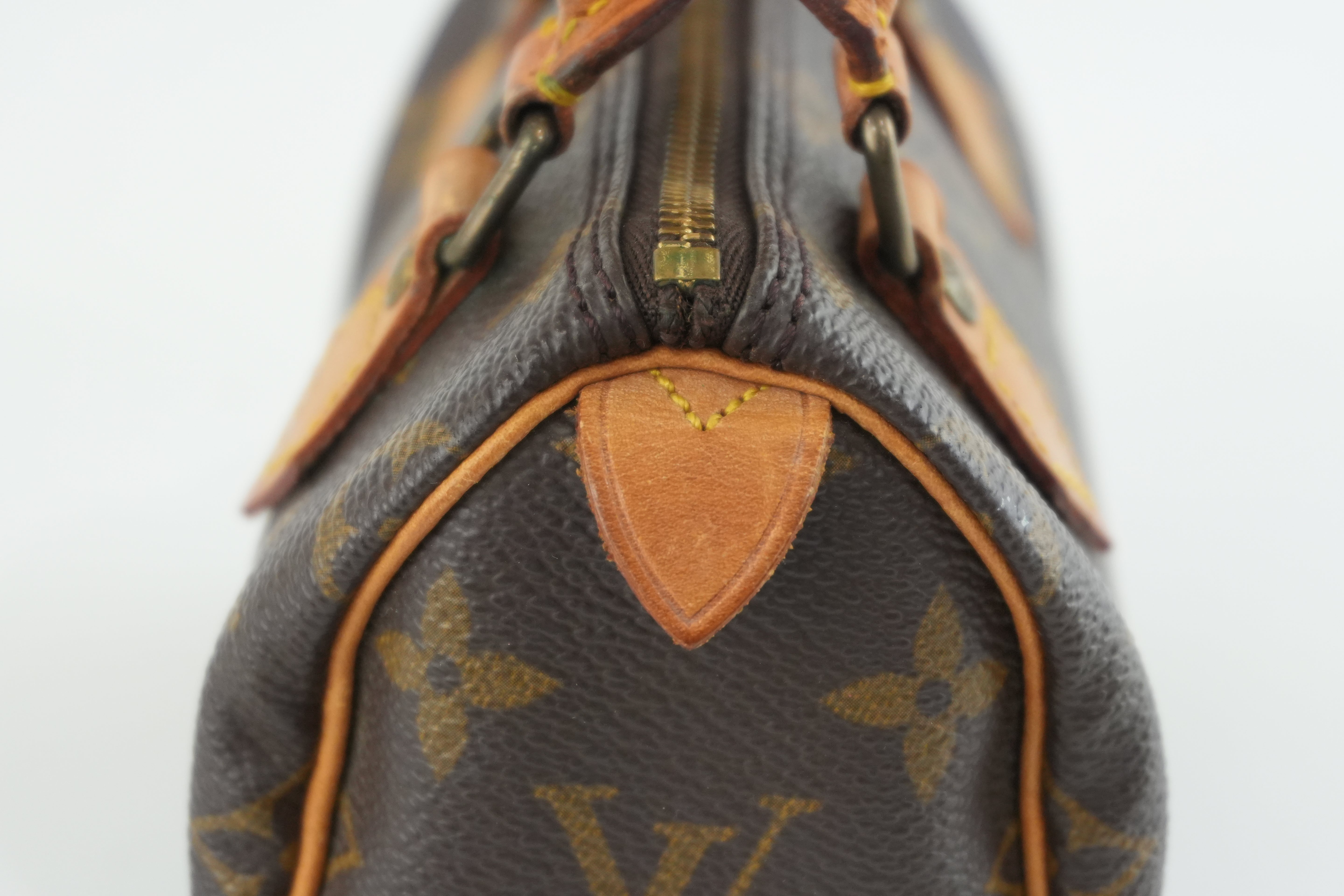 Louis Vuitton Monogram Mini Speedy Handbag Used