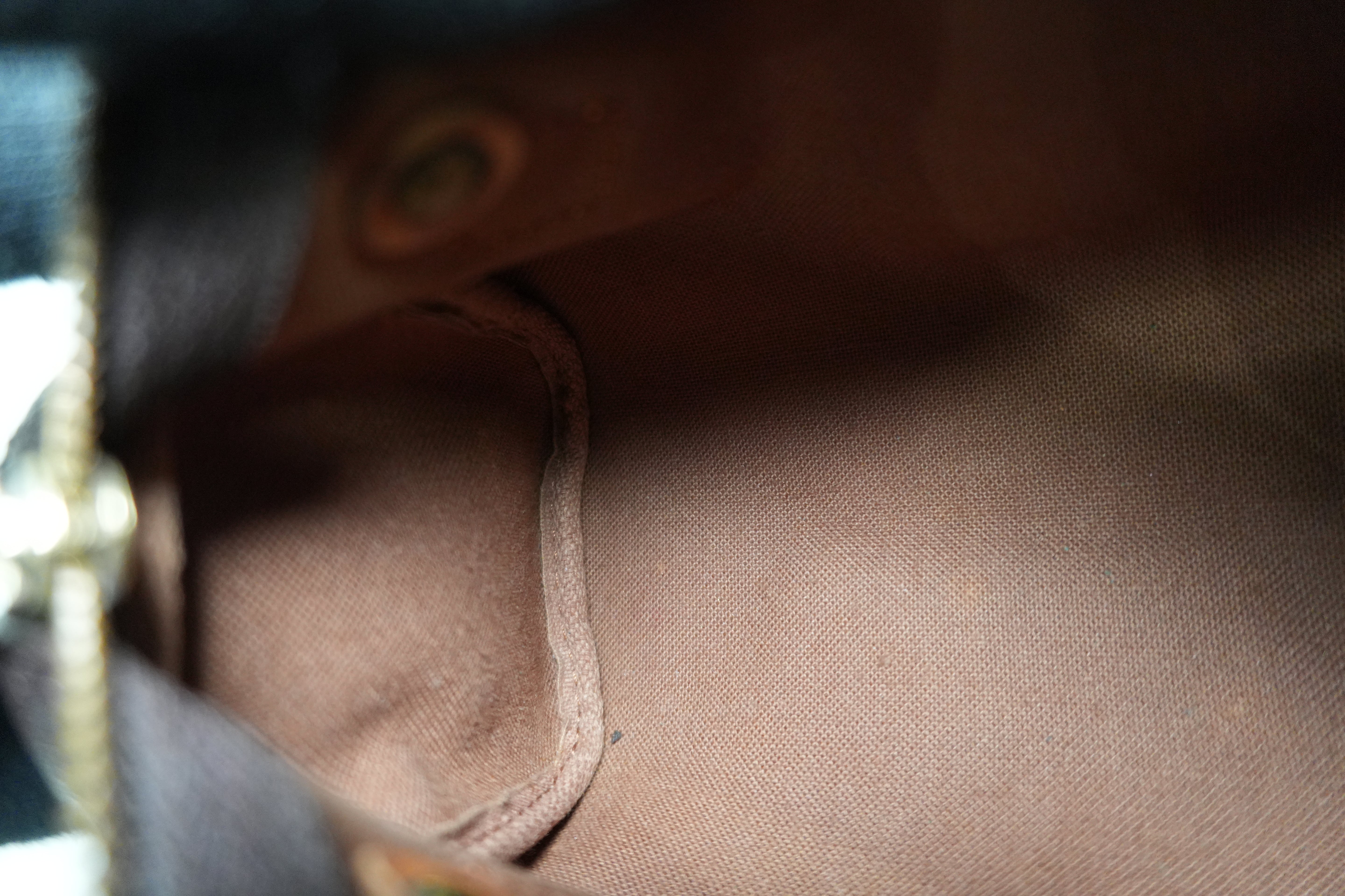 Louis Vuitton Monogram Mini Speedy Handbag Used