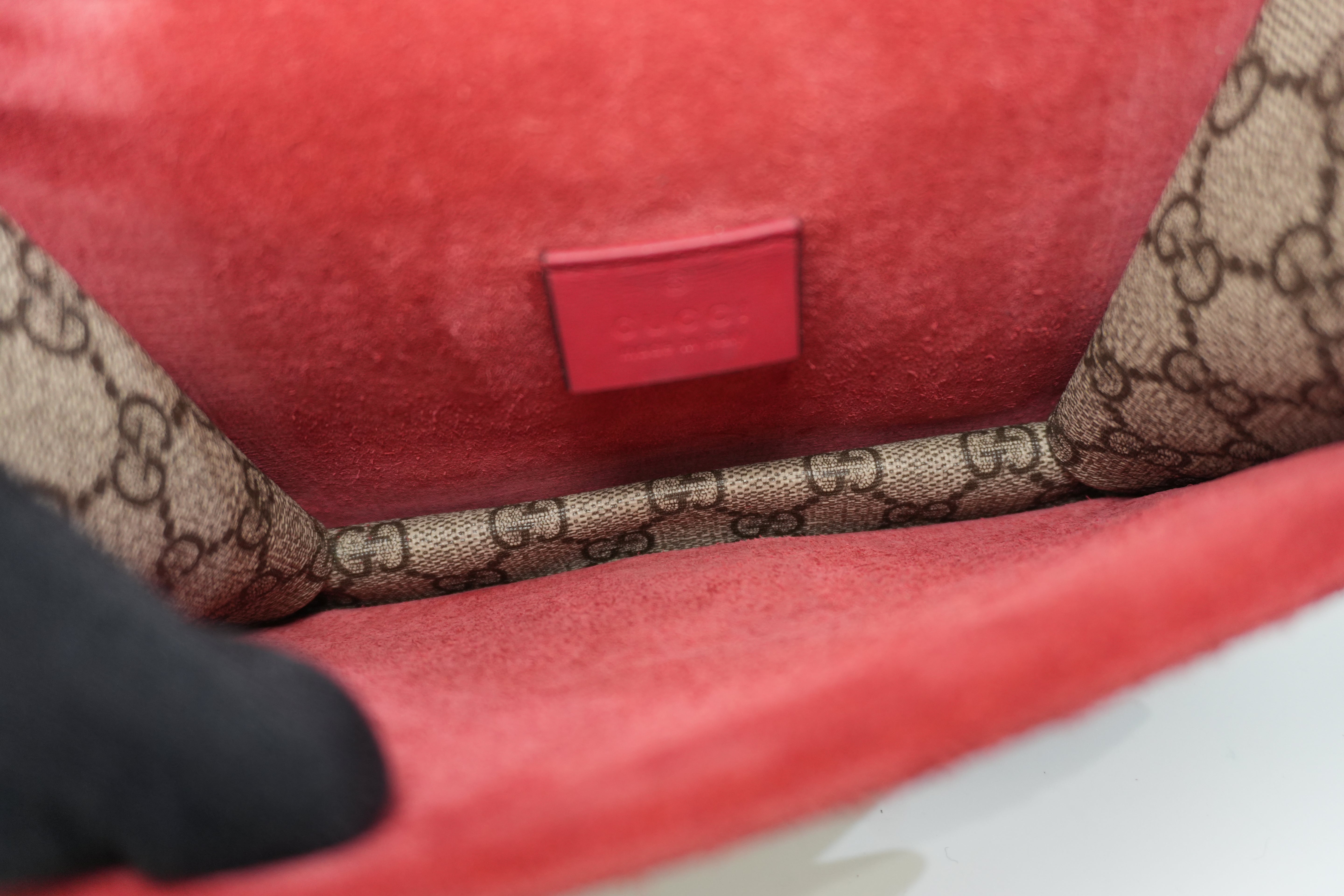 Pre-owned Gucci PVC Canvas Dionysus Double Flap Chain Shoulder Bag Brown and Red