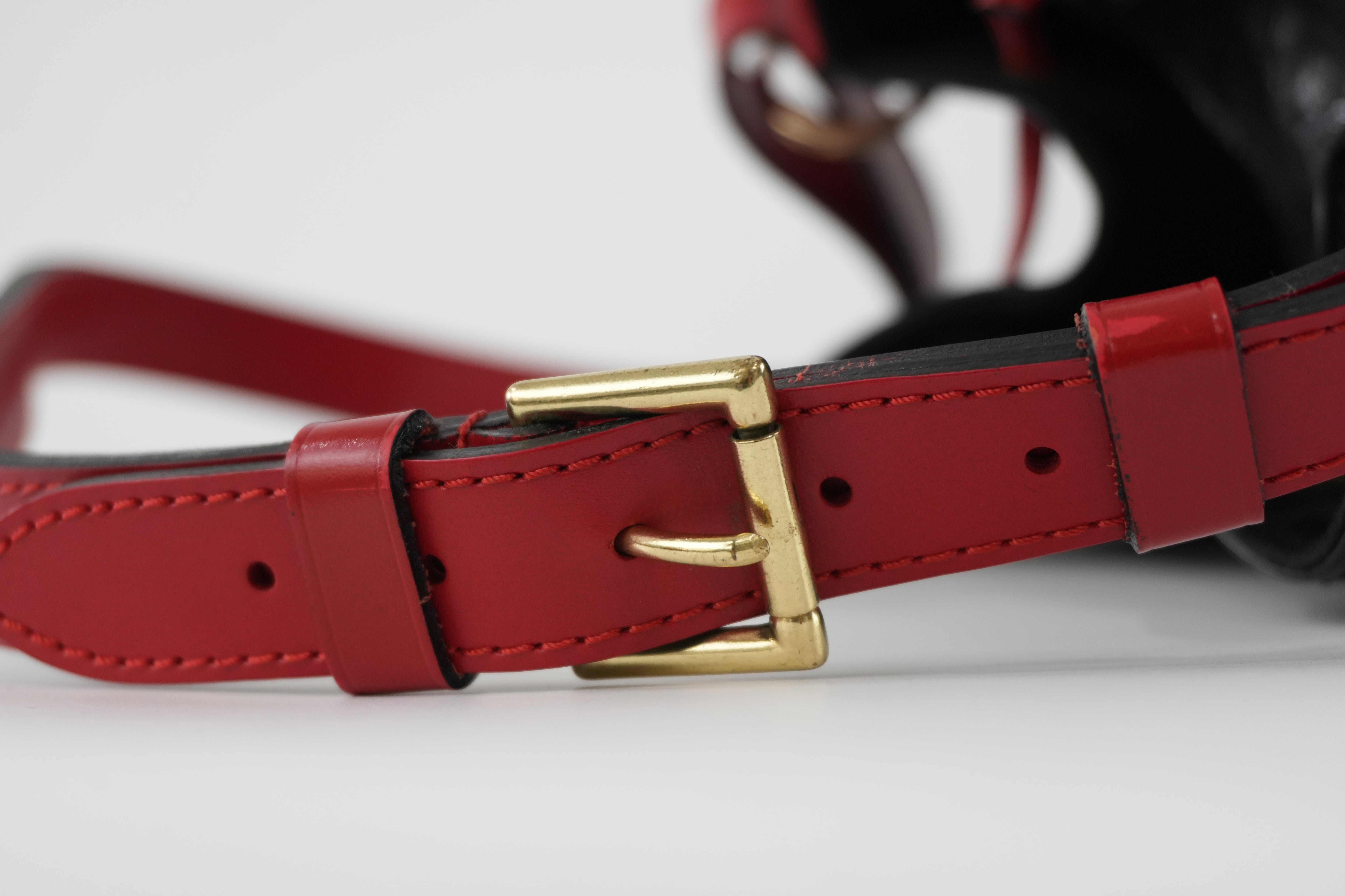 Louis Vuitton Epi Noe Bicolor Shoulder Bag Used