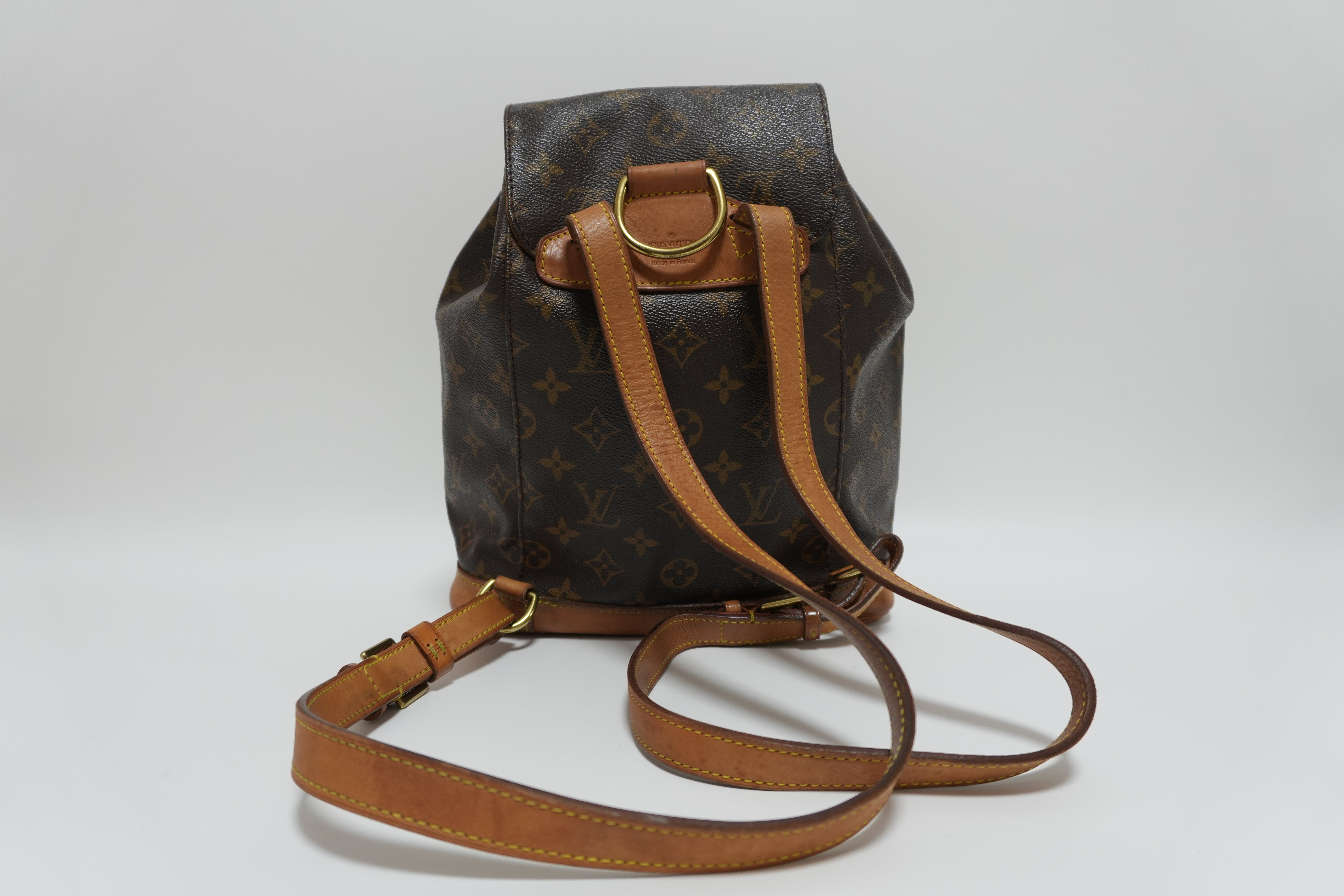Louis Vuitton Montsouris PM Backpack Used