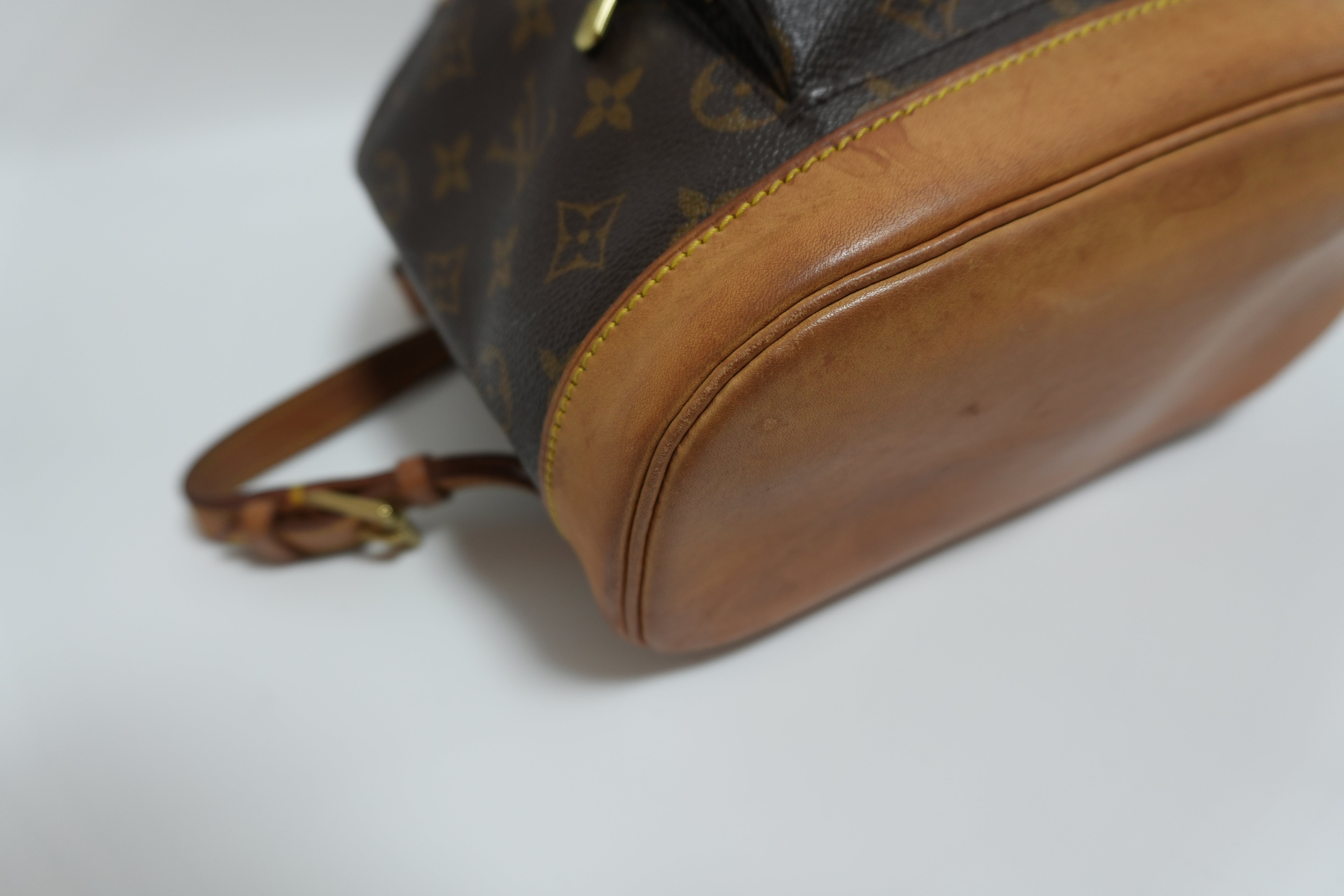 Louis Vuitton Montsouris PM Backpack Used