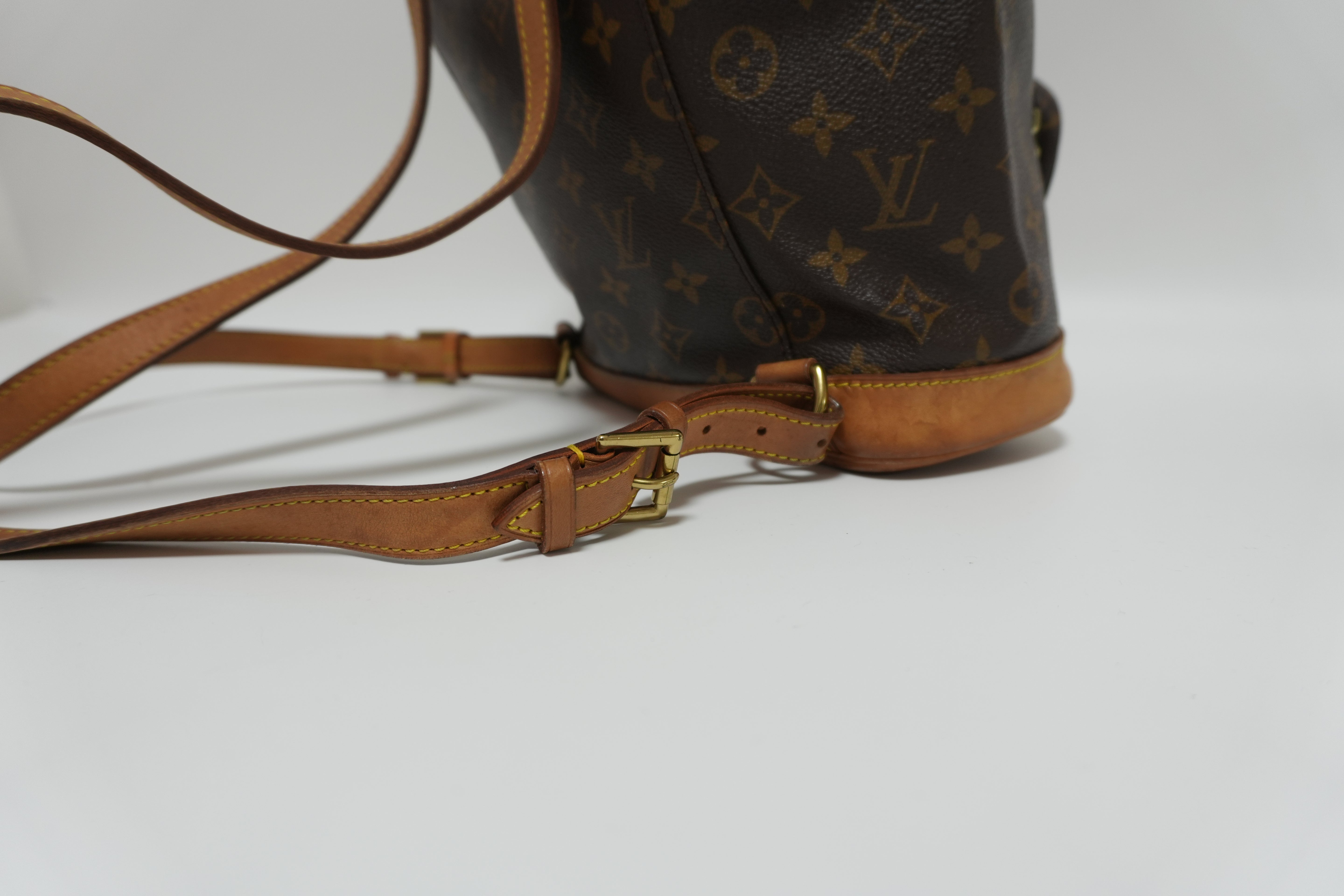 Louis Vuitton Montsouris PM Backpack Used