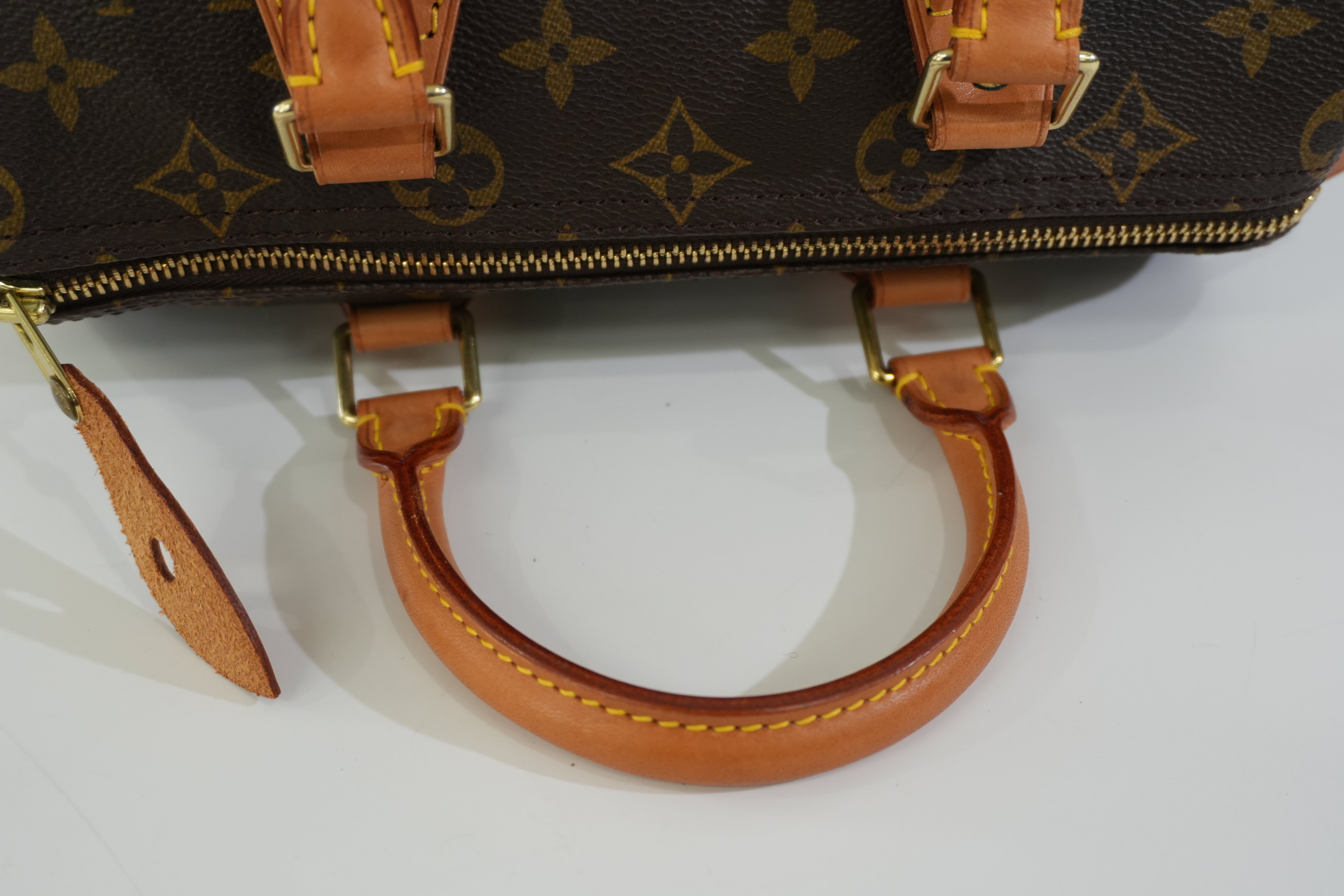 Pre-owned Louis Vuitton Monogram Speedy 25 Handbag