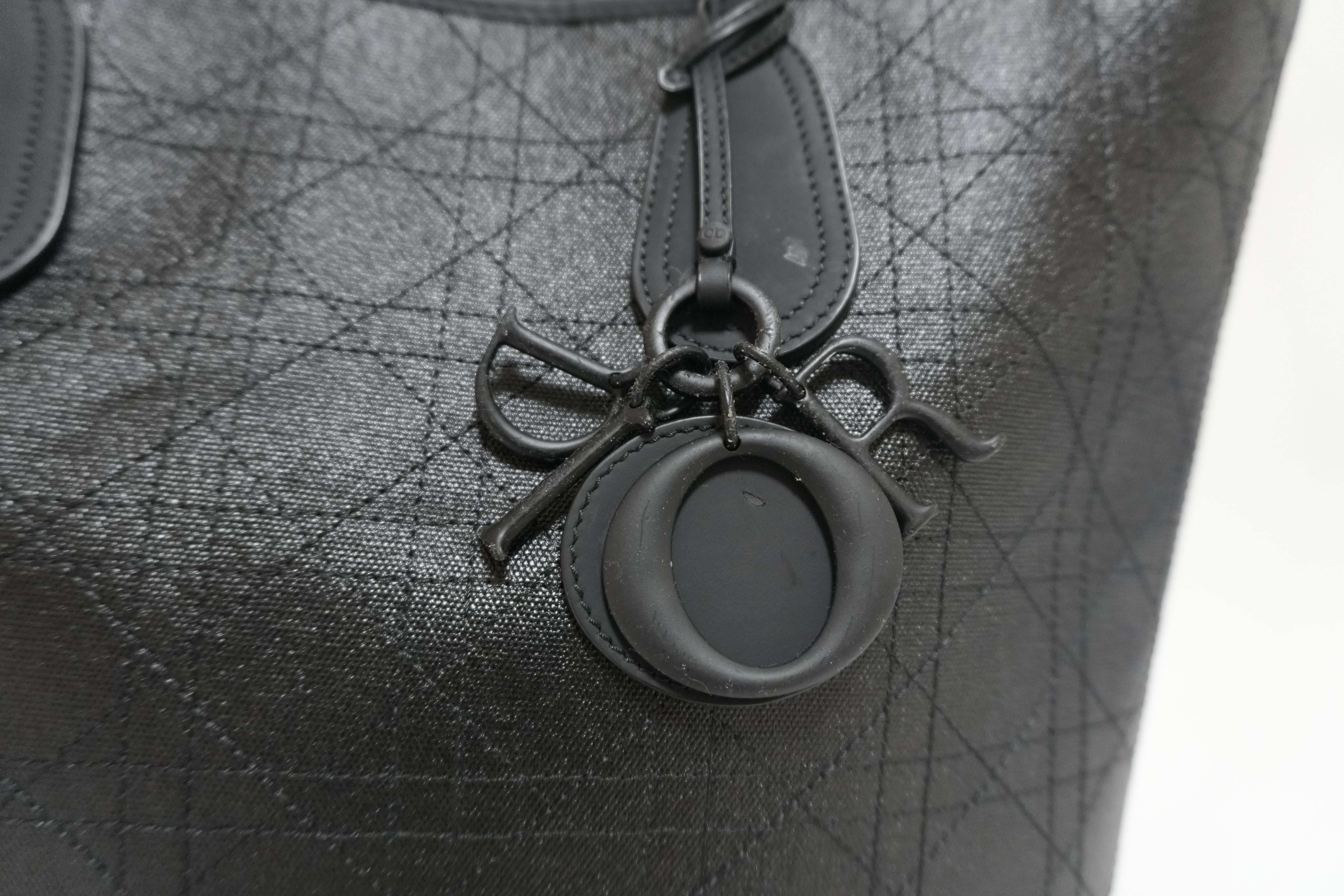 レディディオール レザー ロザート パナレア トートバッグ ブラック 中古