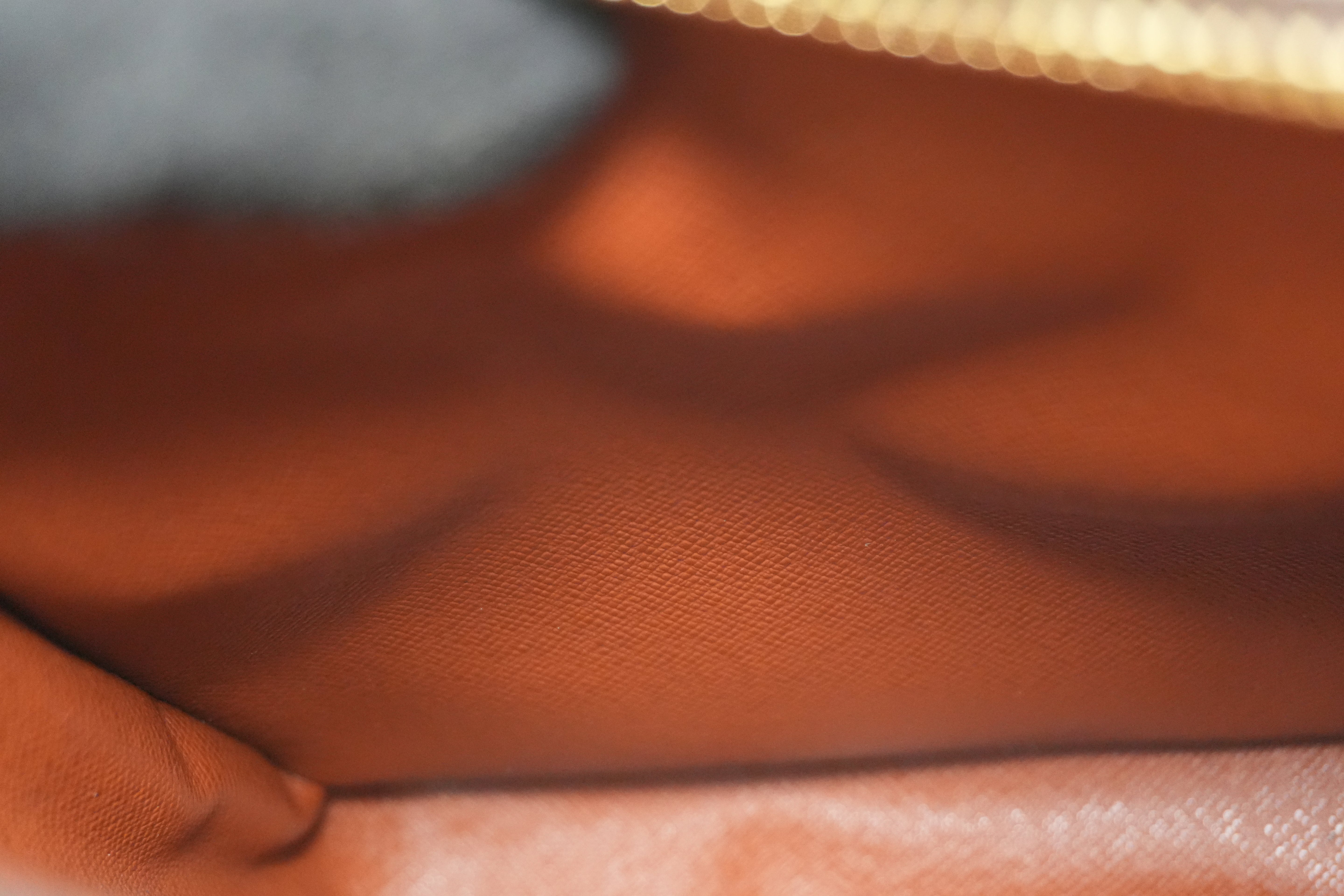 Louis Vuitton Monogram Amazon Shoulder Bag Used