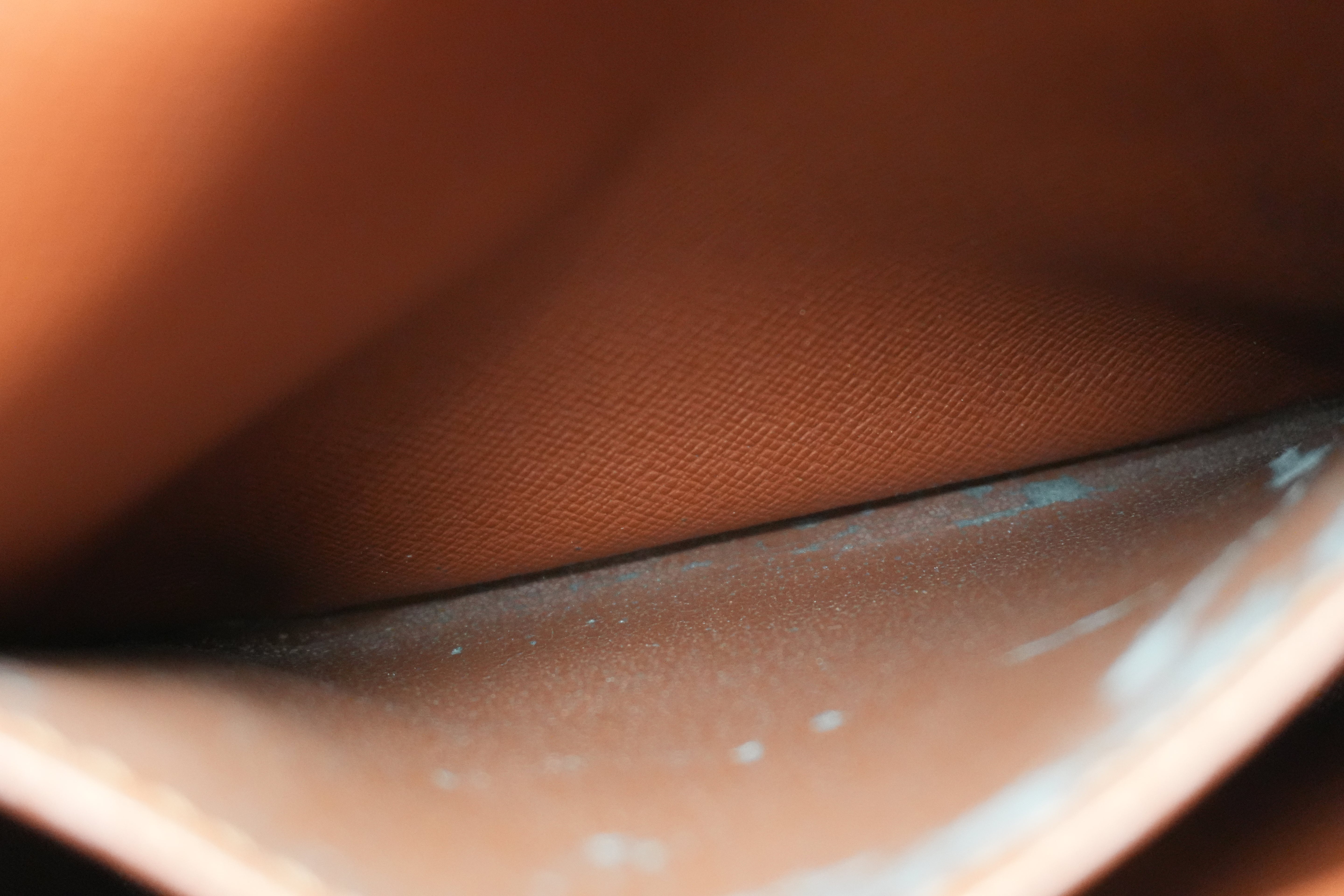 Louis Vuitton Monogram Amazon Shoulder Bag Used