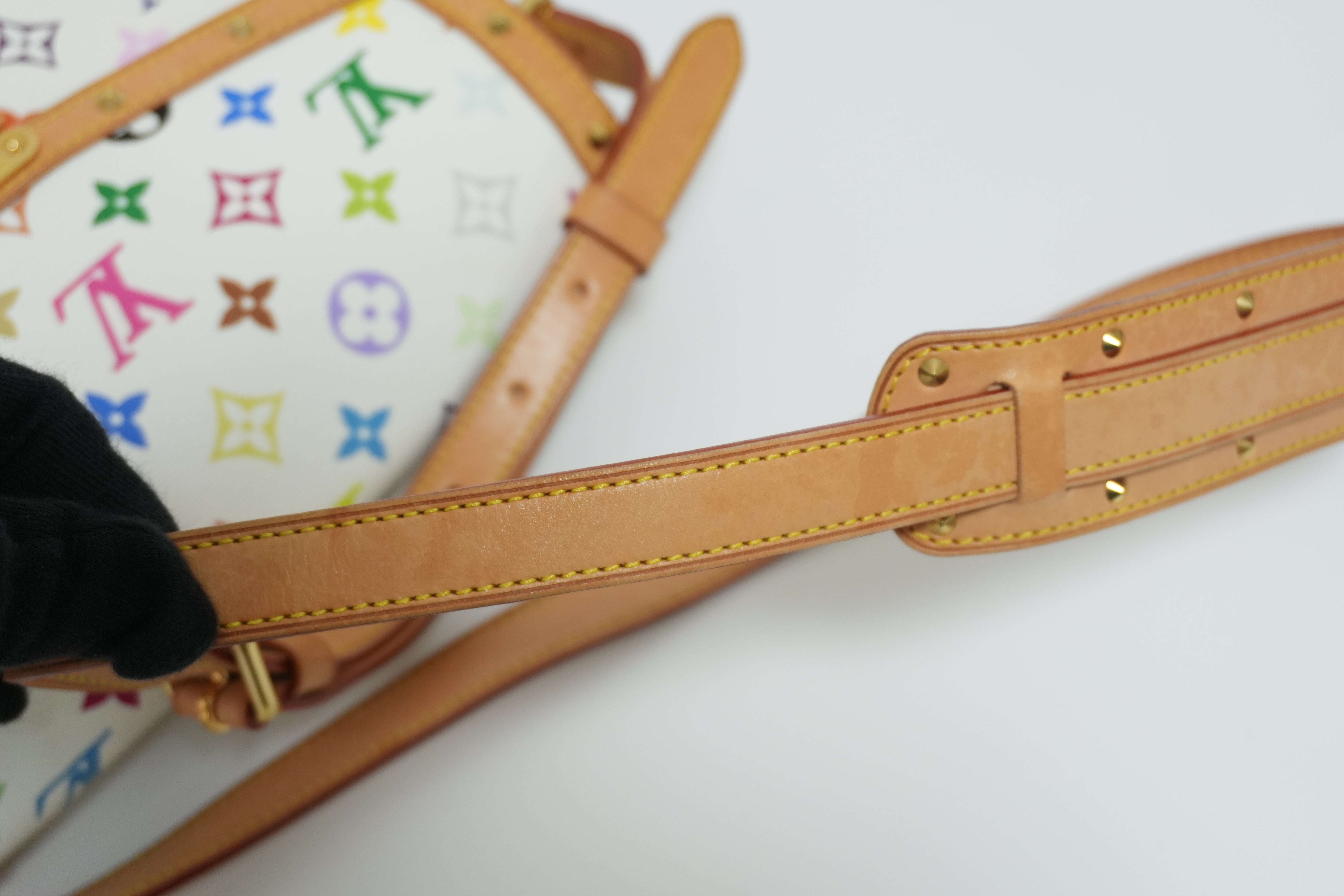 Louis Vuitton Multicolor Sologne Shoulder Bag Used