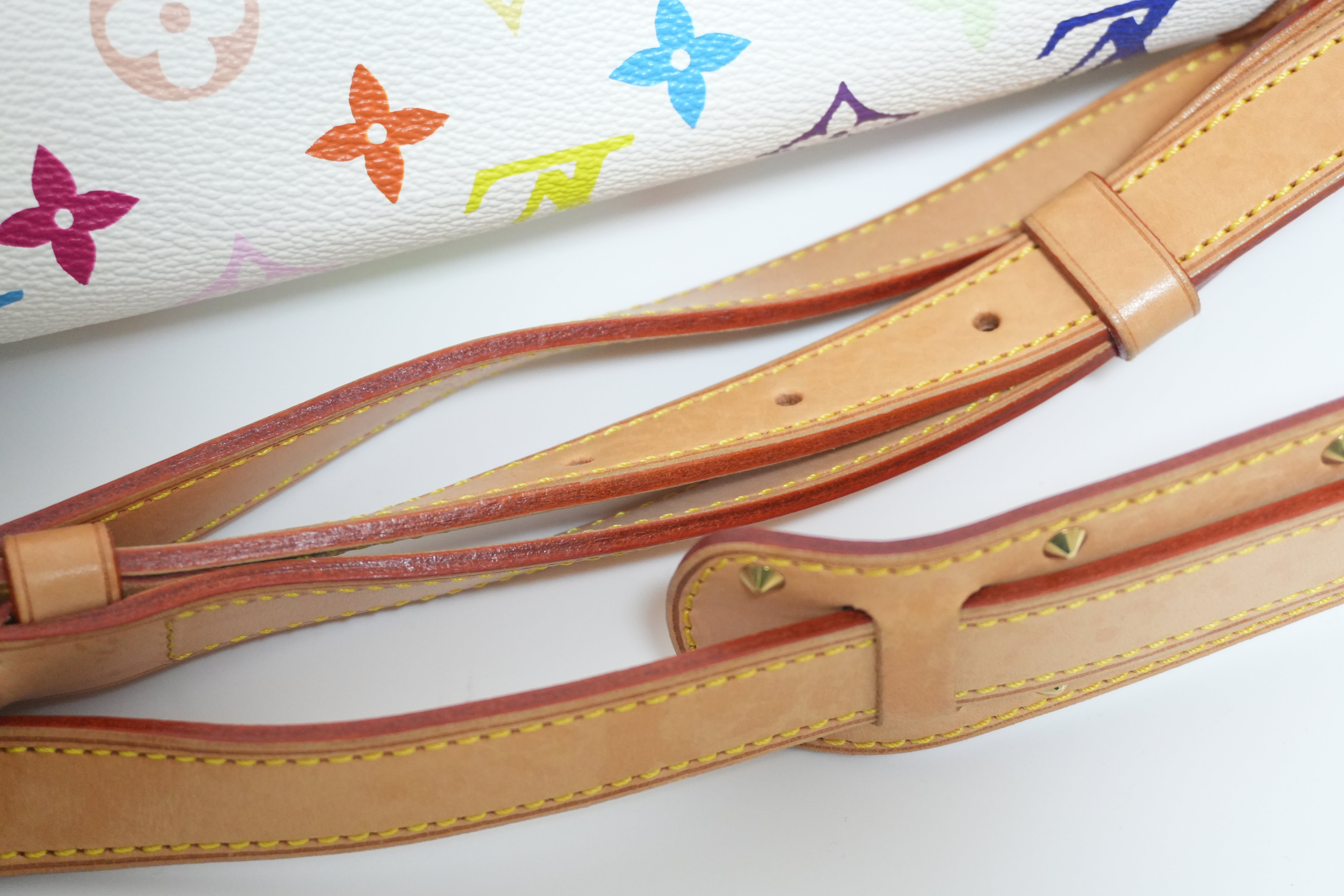 Louis Vuitton Multicolor Sologne Shoulder Bag Used