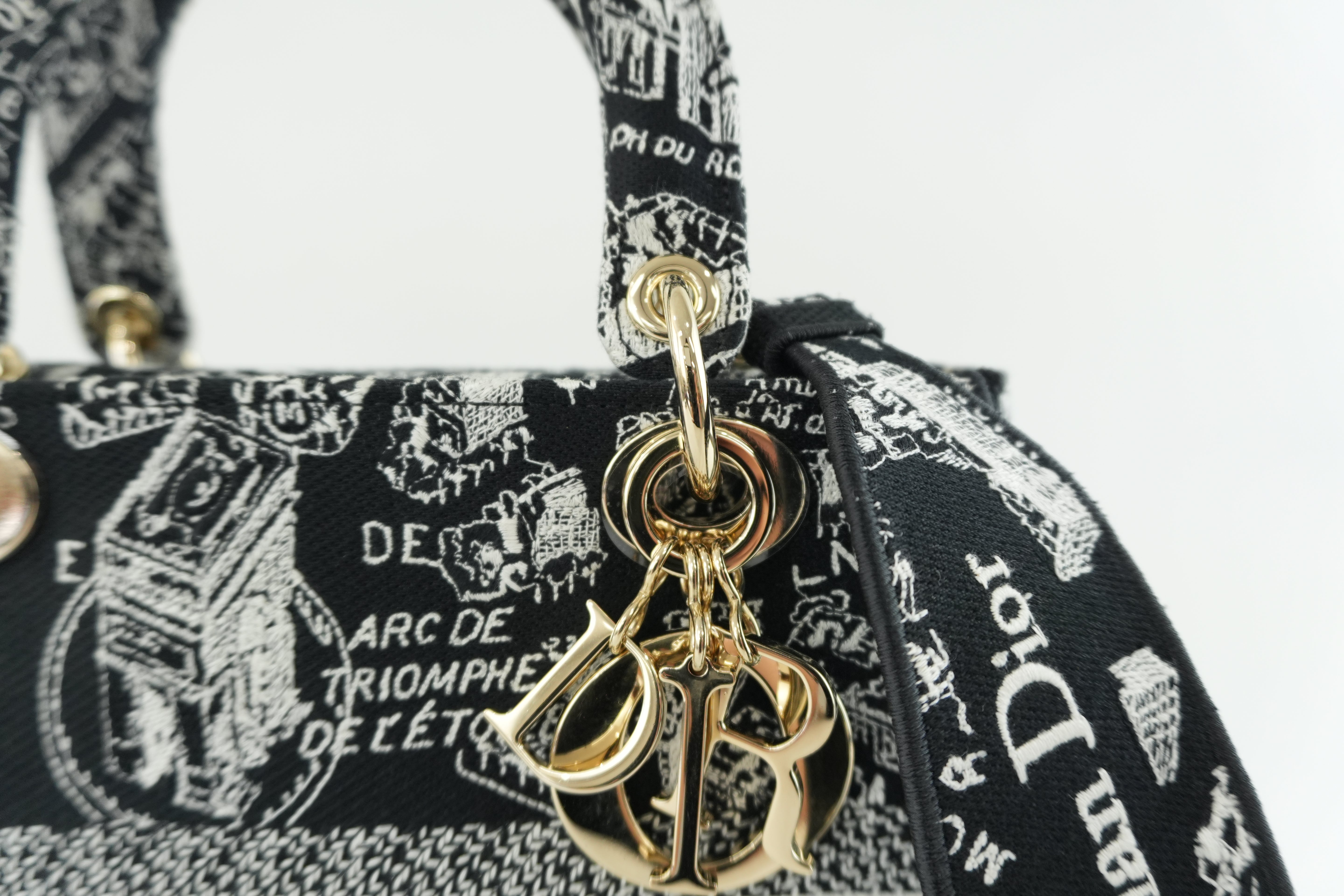 Christian Dior Lady D-Lite Shoulder Strap Used