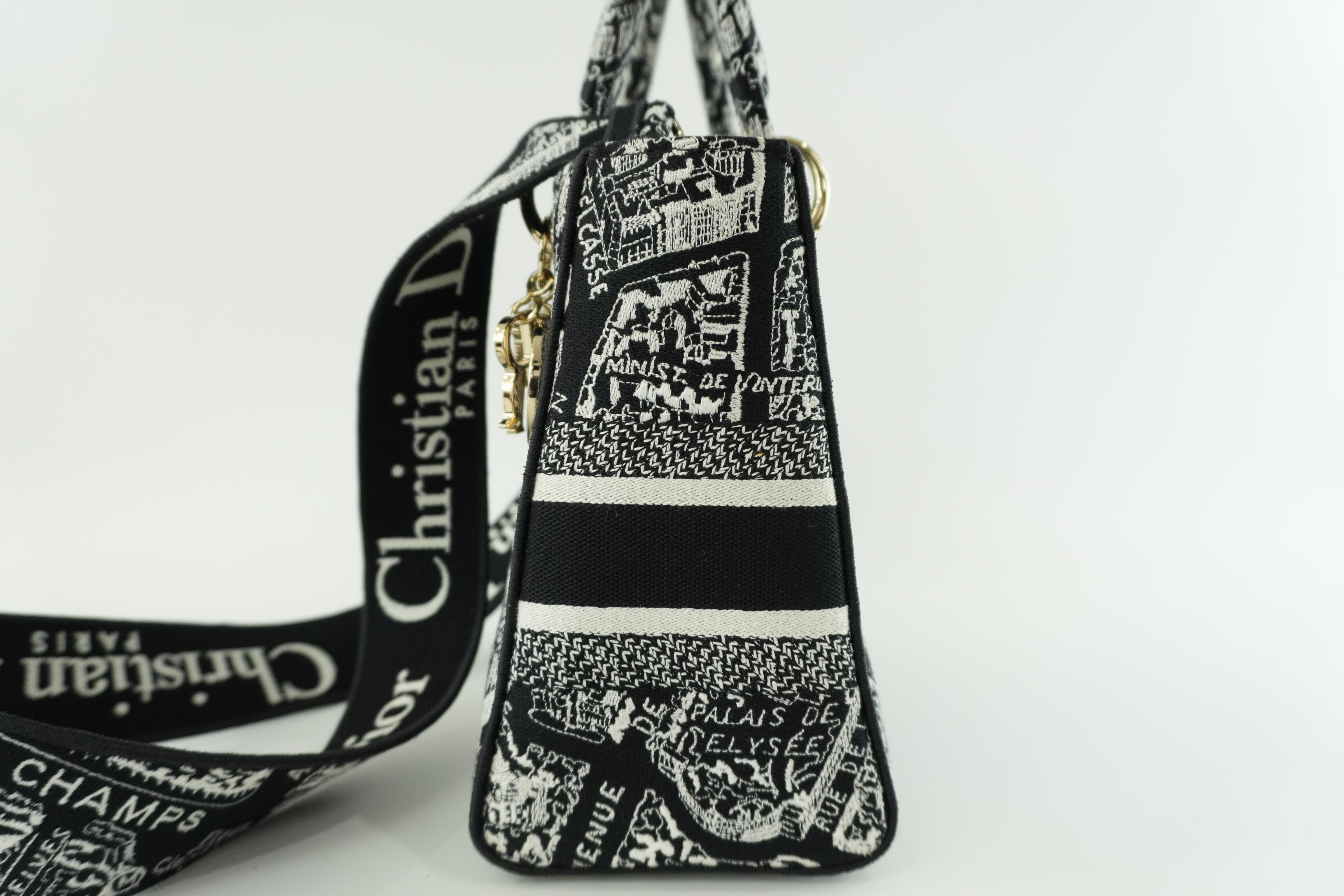Christian Dior Lady D-Lite Shoulder Strap Used