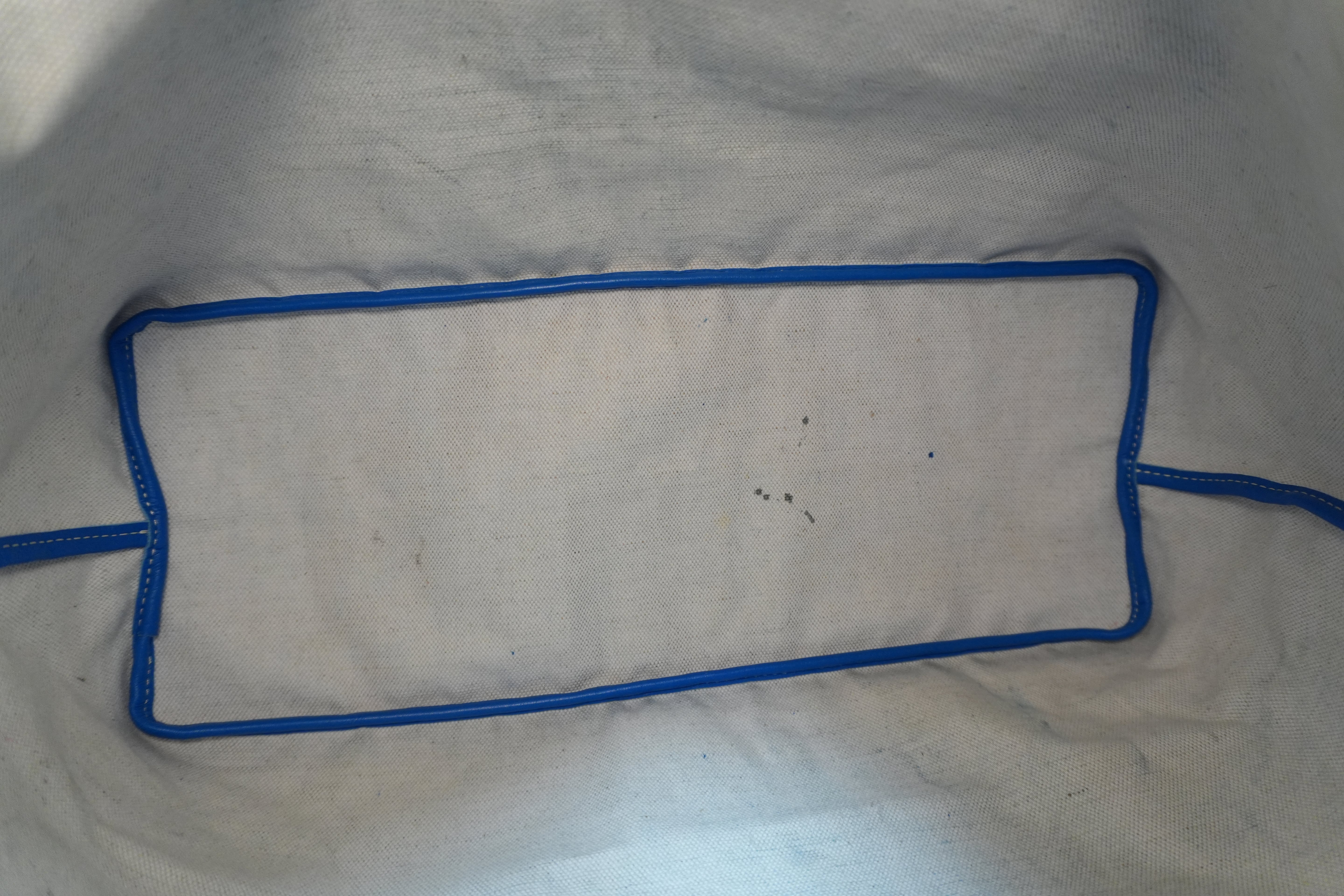 Goyard Saint Louis PM Blue Used