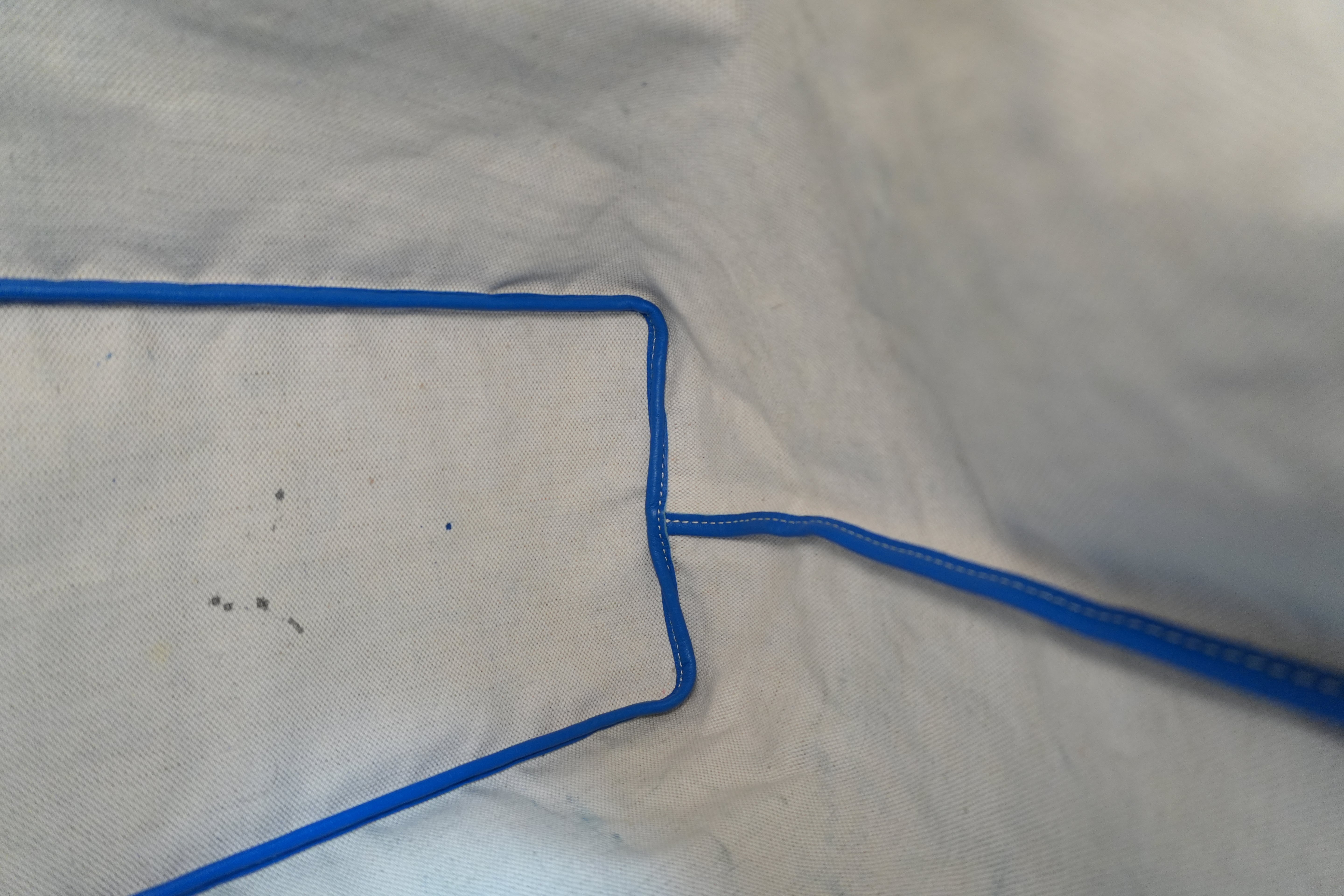 Goyard Saint Louis PM Blue Used