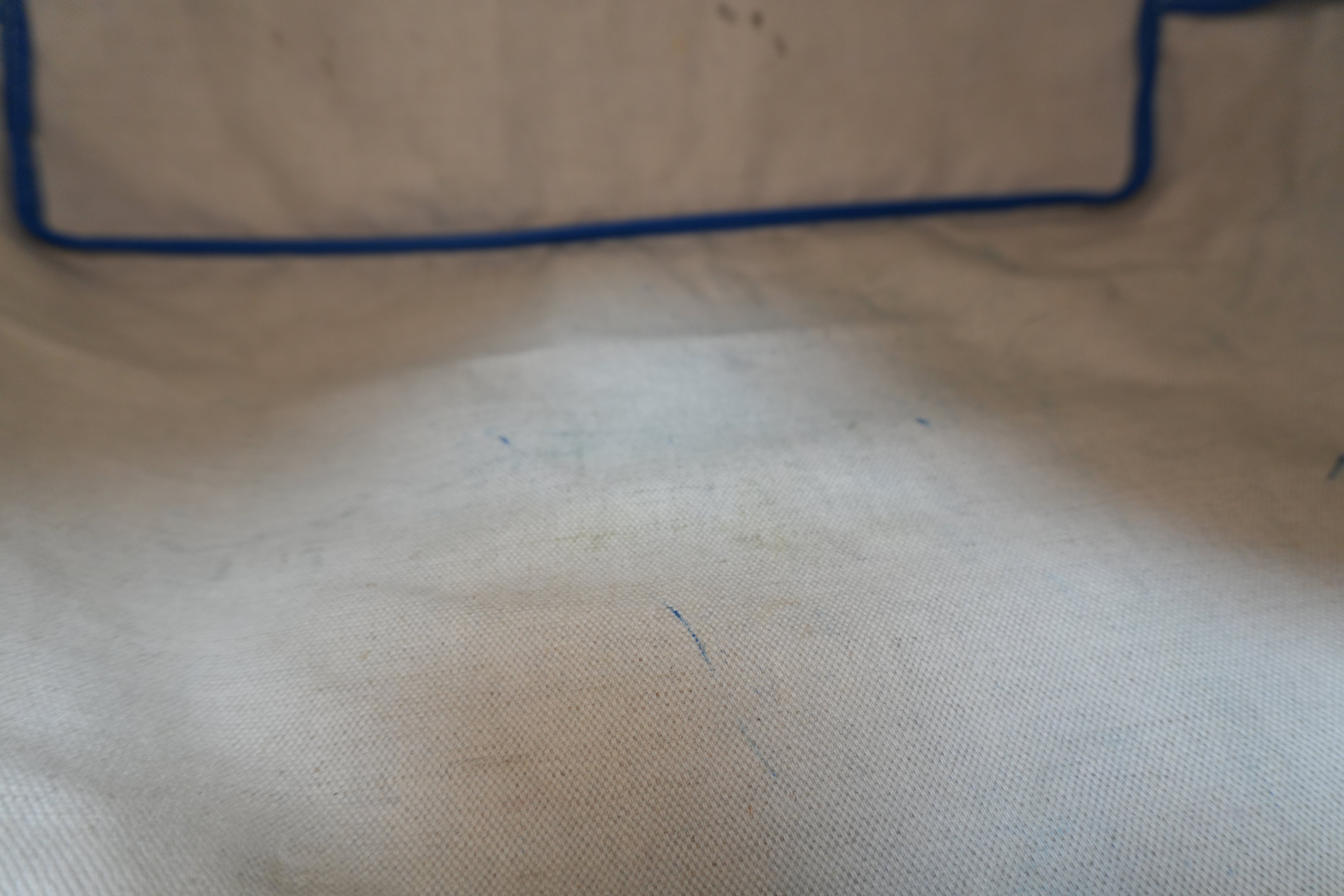 Goyard Saint Louis PM Blue Used