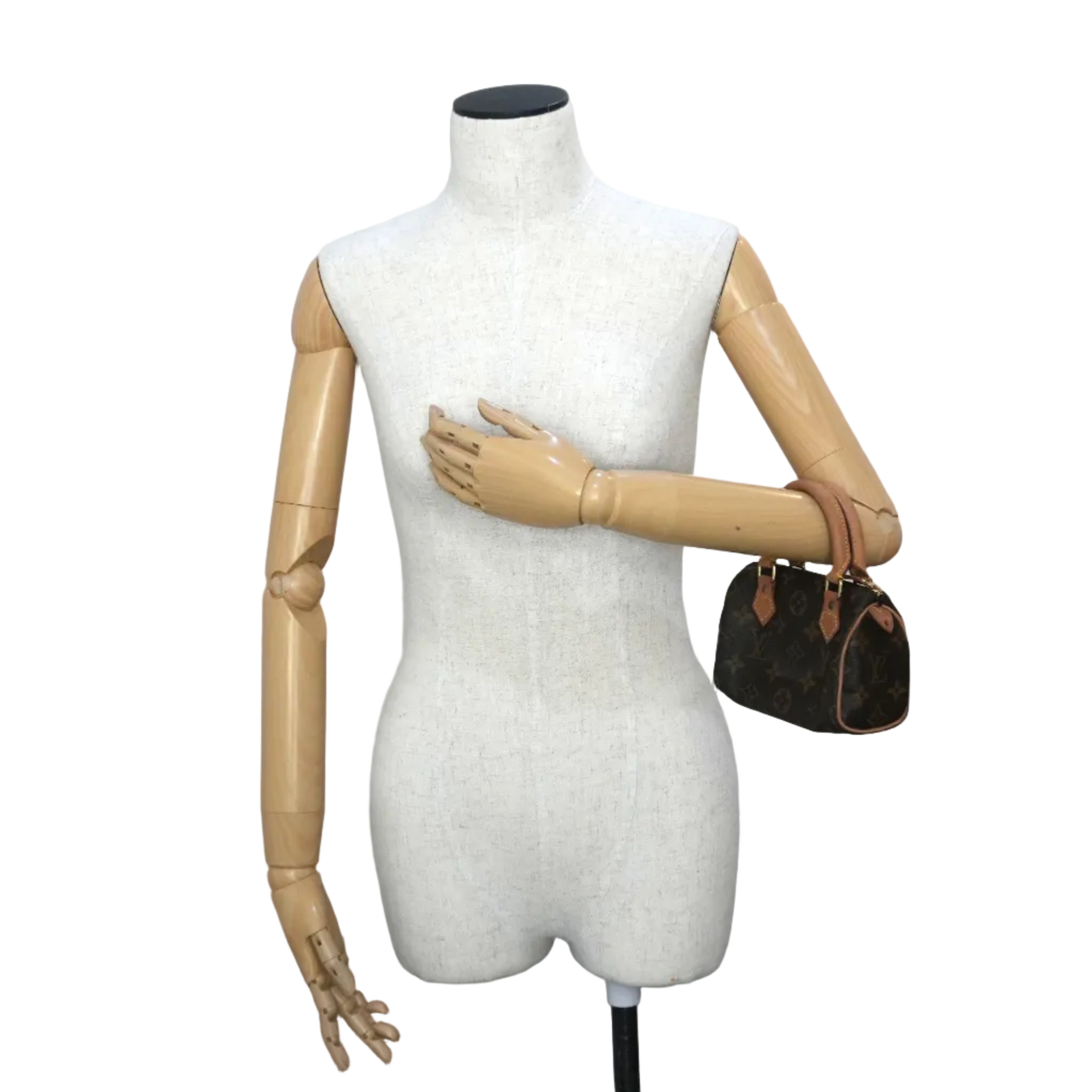 Pre-owned Louis Vuitton Monogram Mini Speedy Handbag