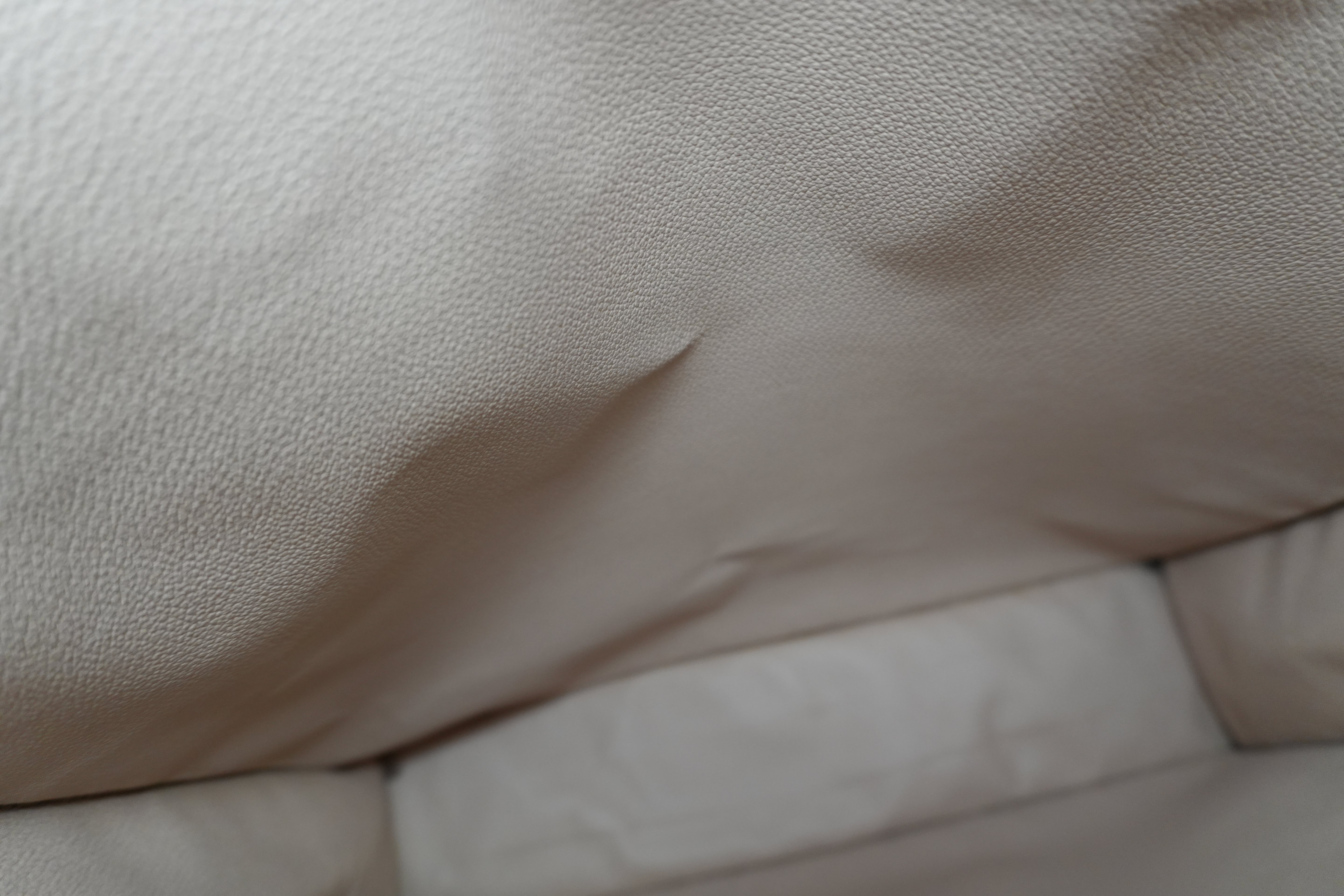 Louis Vuitton Monogram Sac Plat Tote Bag Used