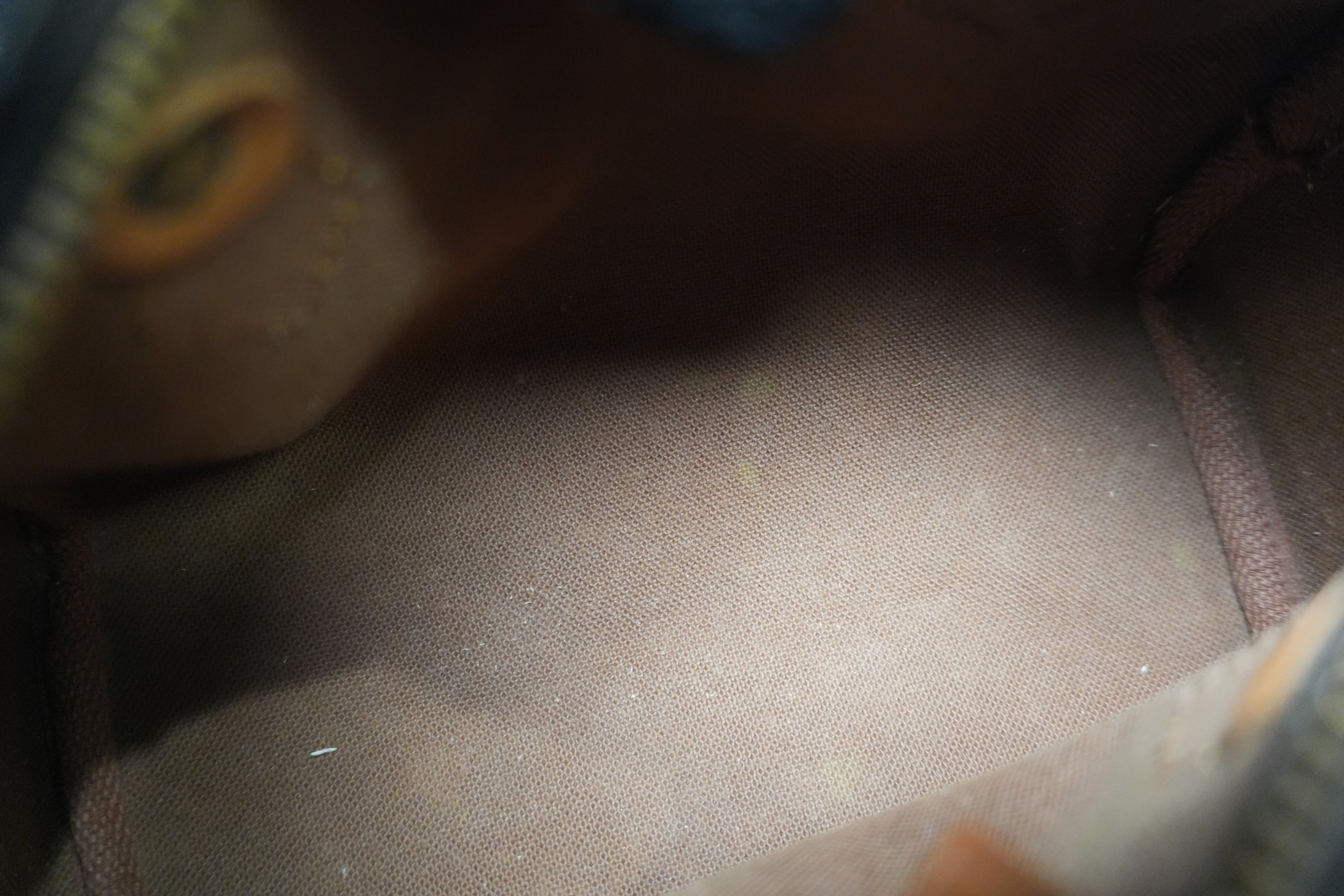 Louis Vuitton Monogram Mini Speedy Handbag Used