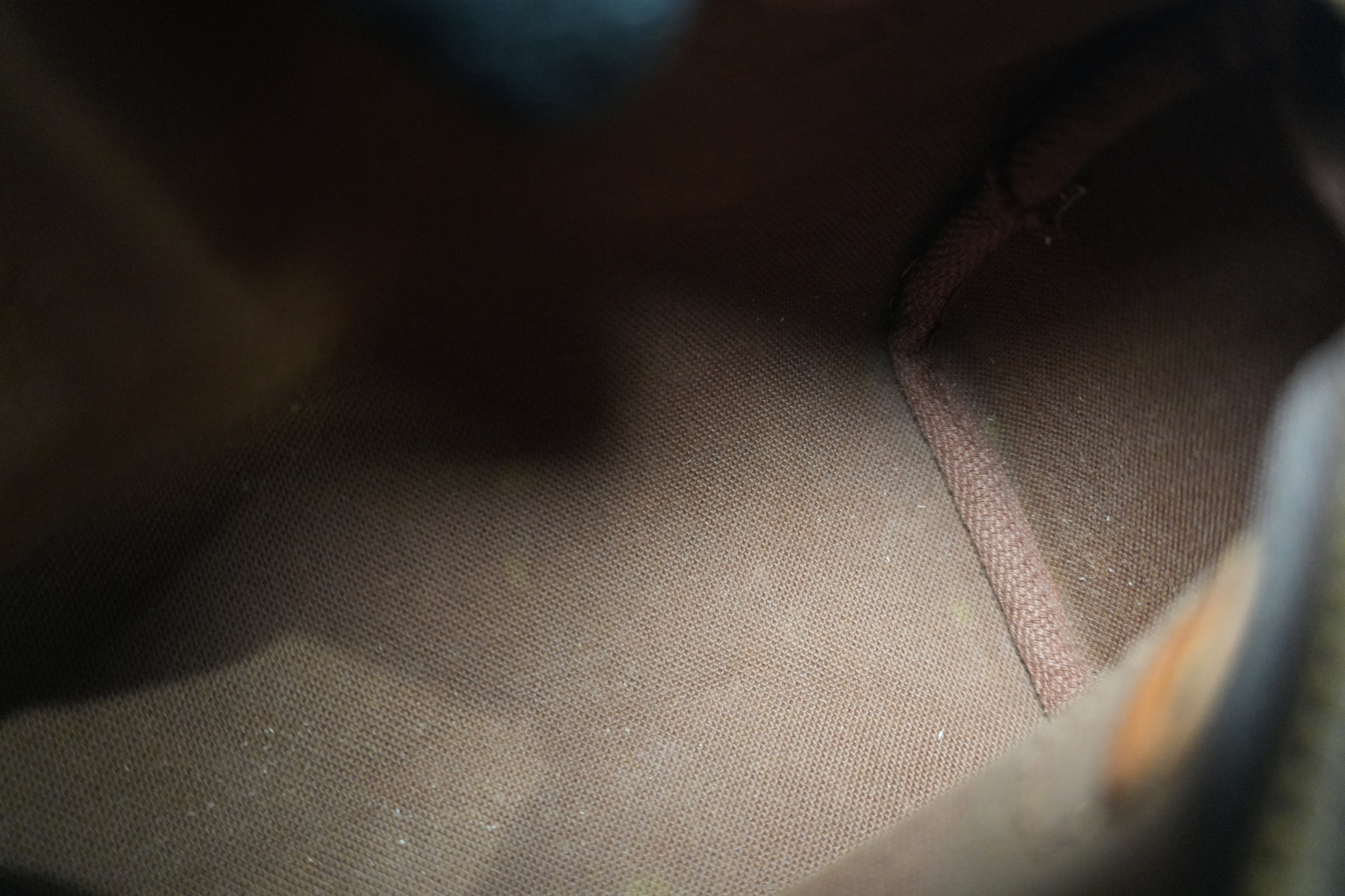 Louis Vuitton Monogram Mini Speedy Handbag Used