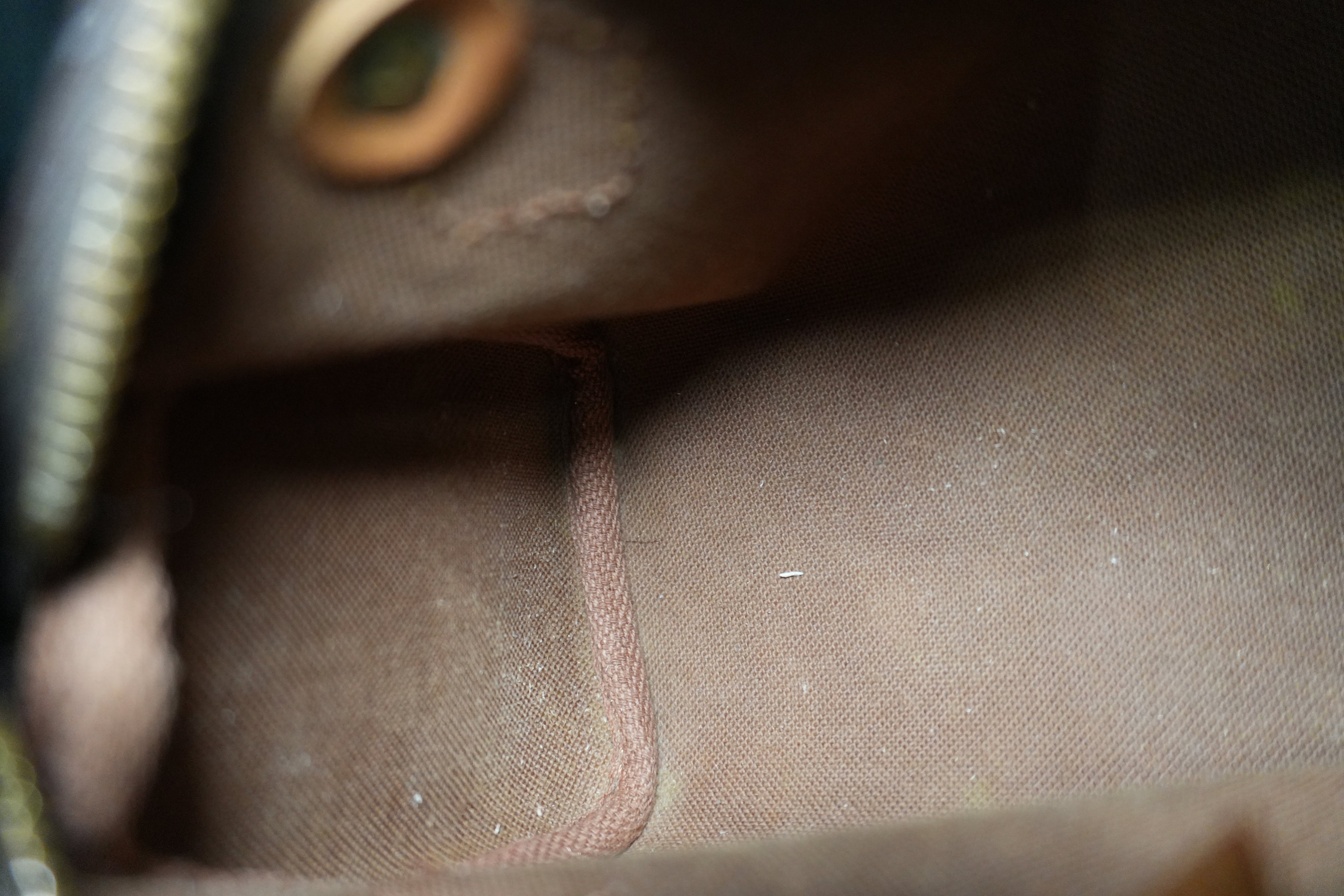 Louis Vuitton Monogram Mini Speedy Handbag Used