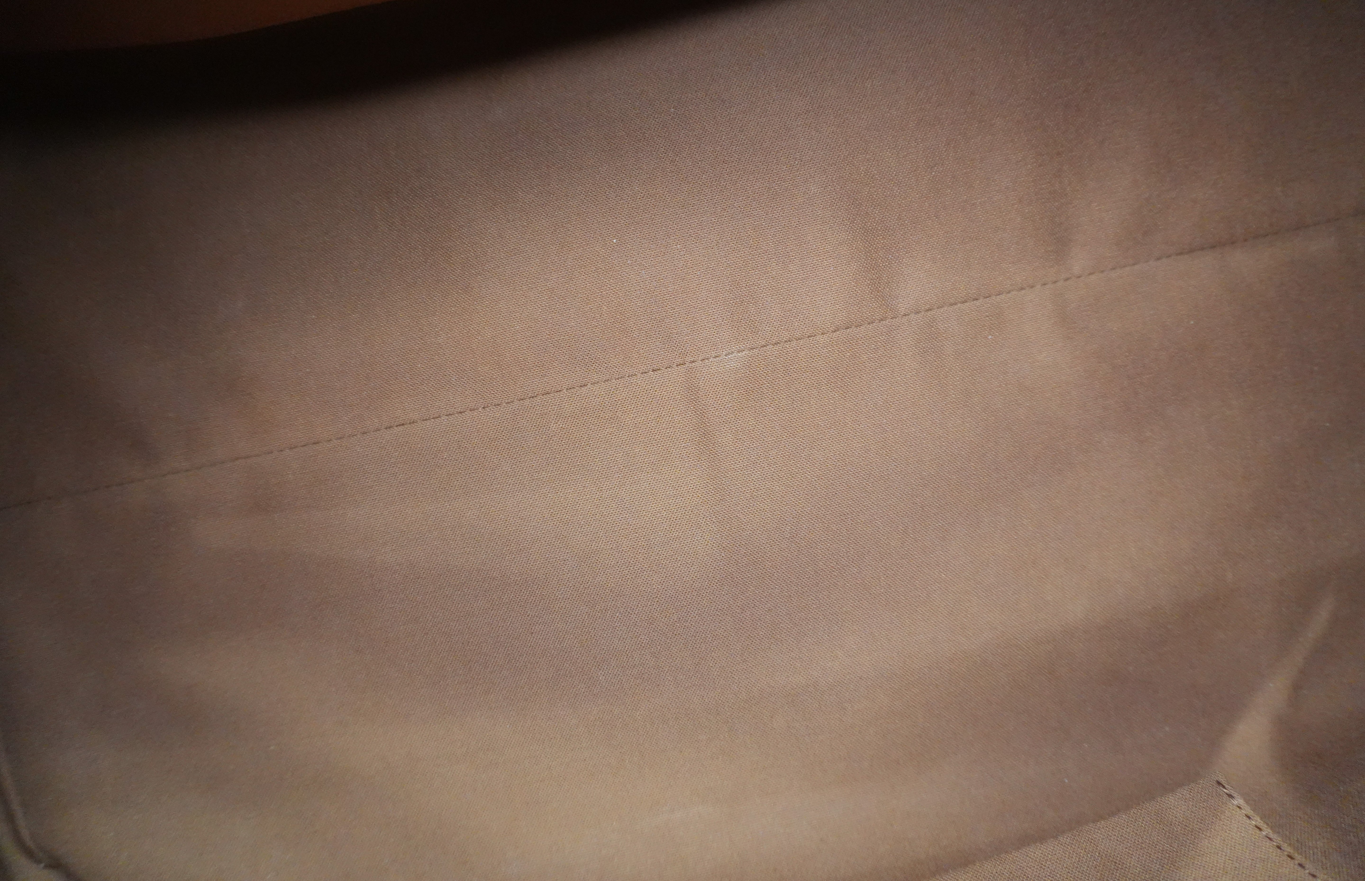 Louis Vuitton Damier Ebene Ribera GM Travel Bag Used