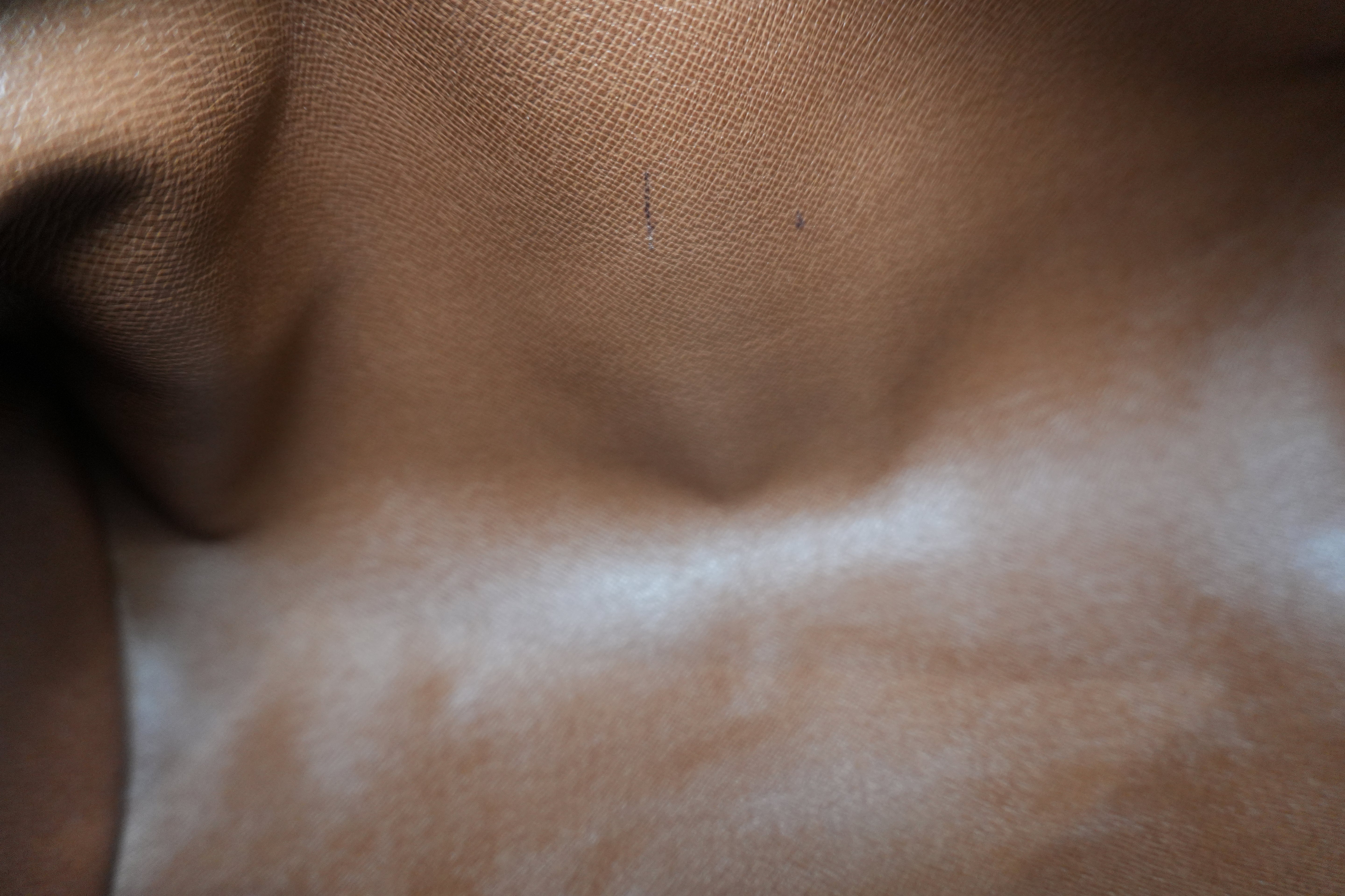 Louis Vuitton Papillon 26 Handbag Used