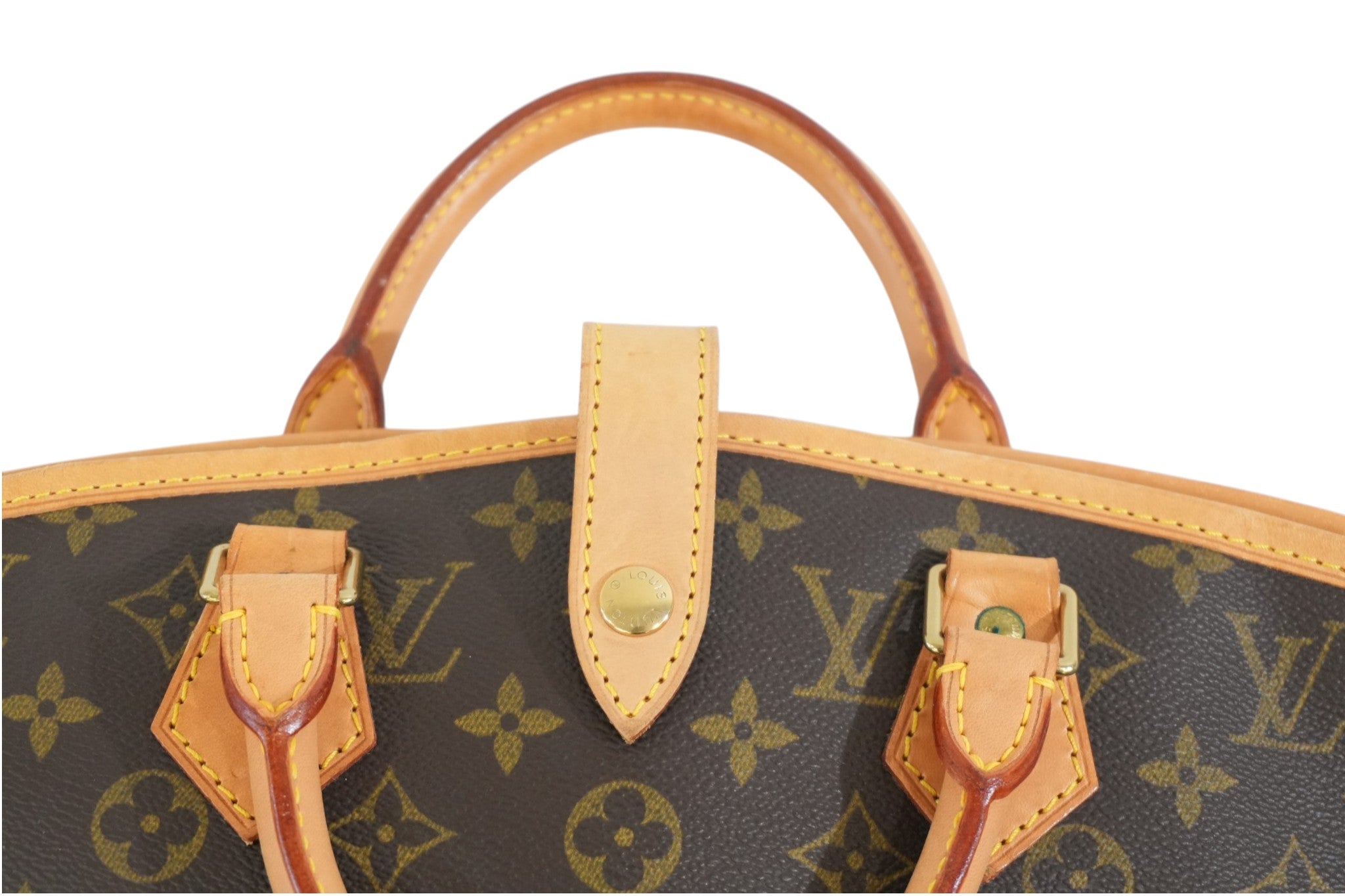 Pre-owned Louis Vuitton Monogram Garment Case