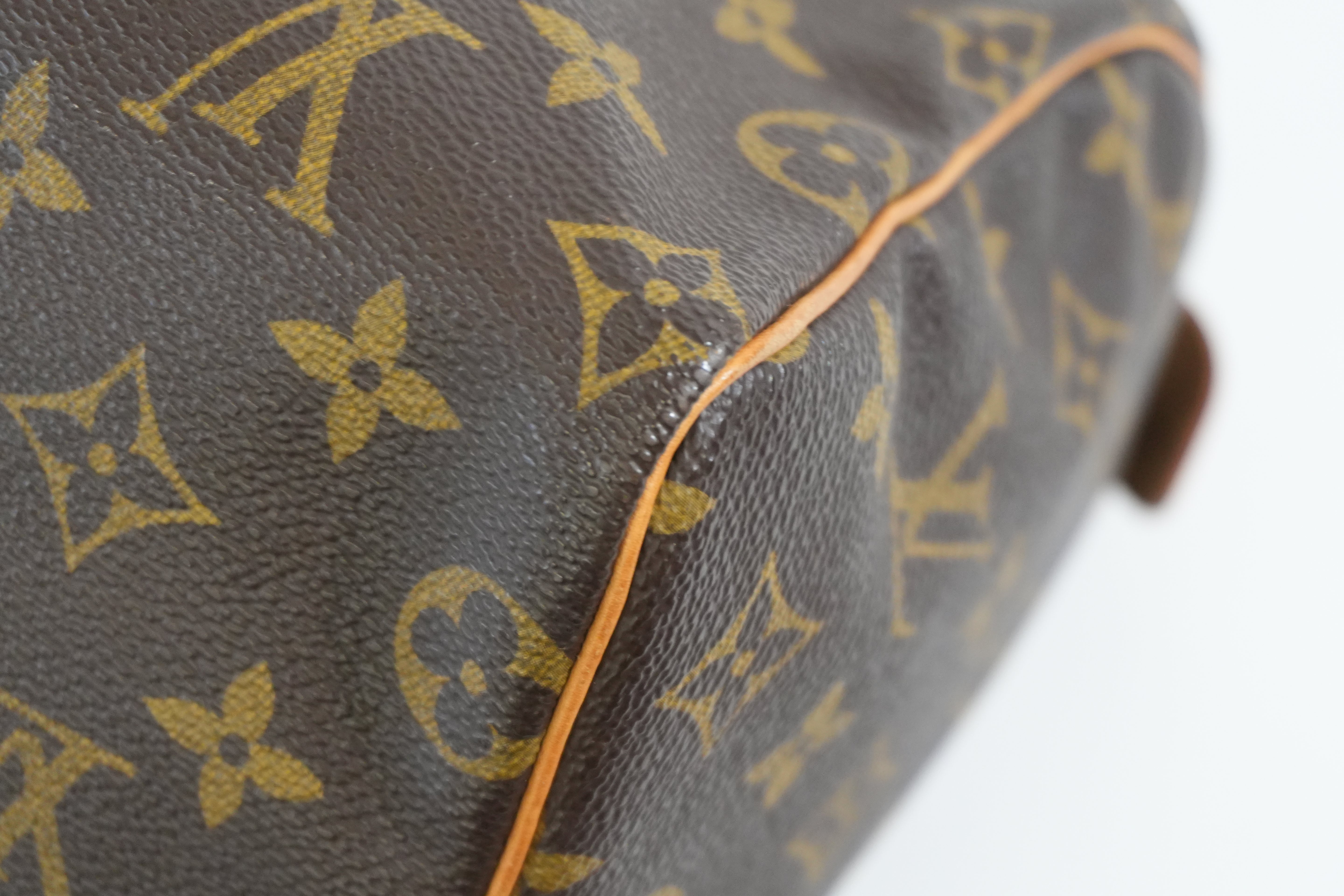 Pre-owned Louis Vuitton Monogram Speedy 25 Handbag