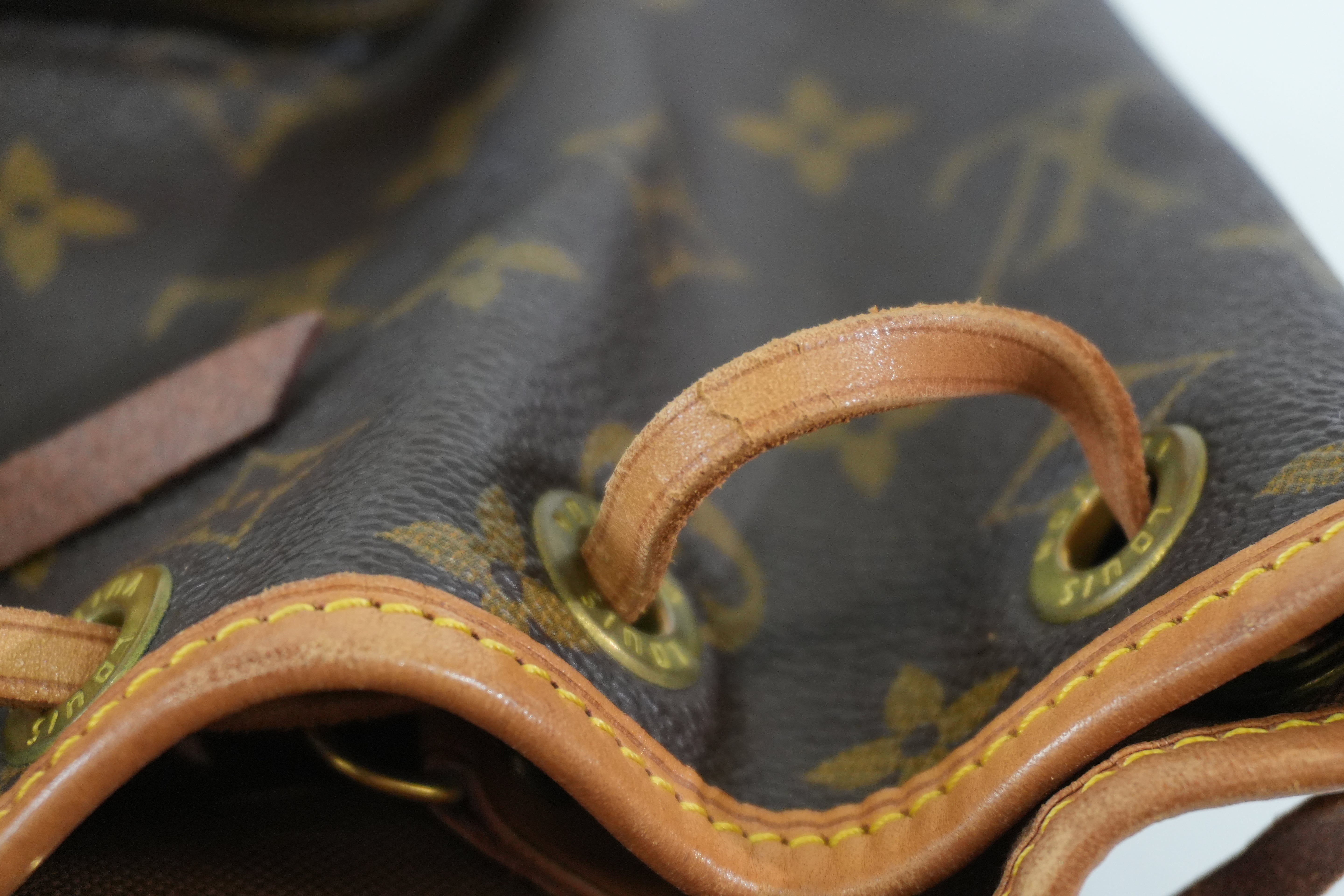 Pre-owned Louis Vuitton Monogram Montsouris PM Backpack