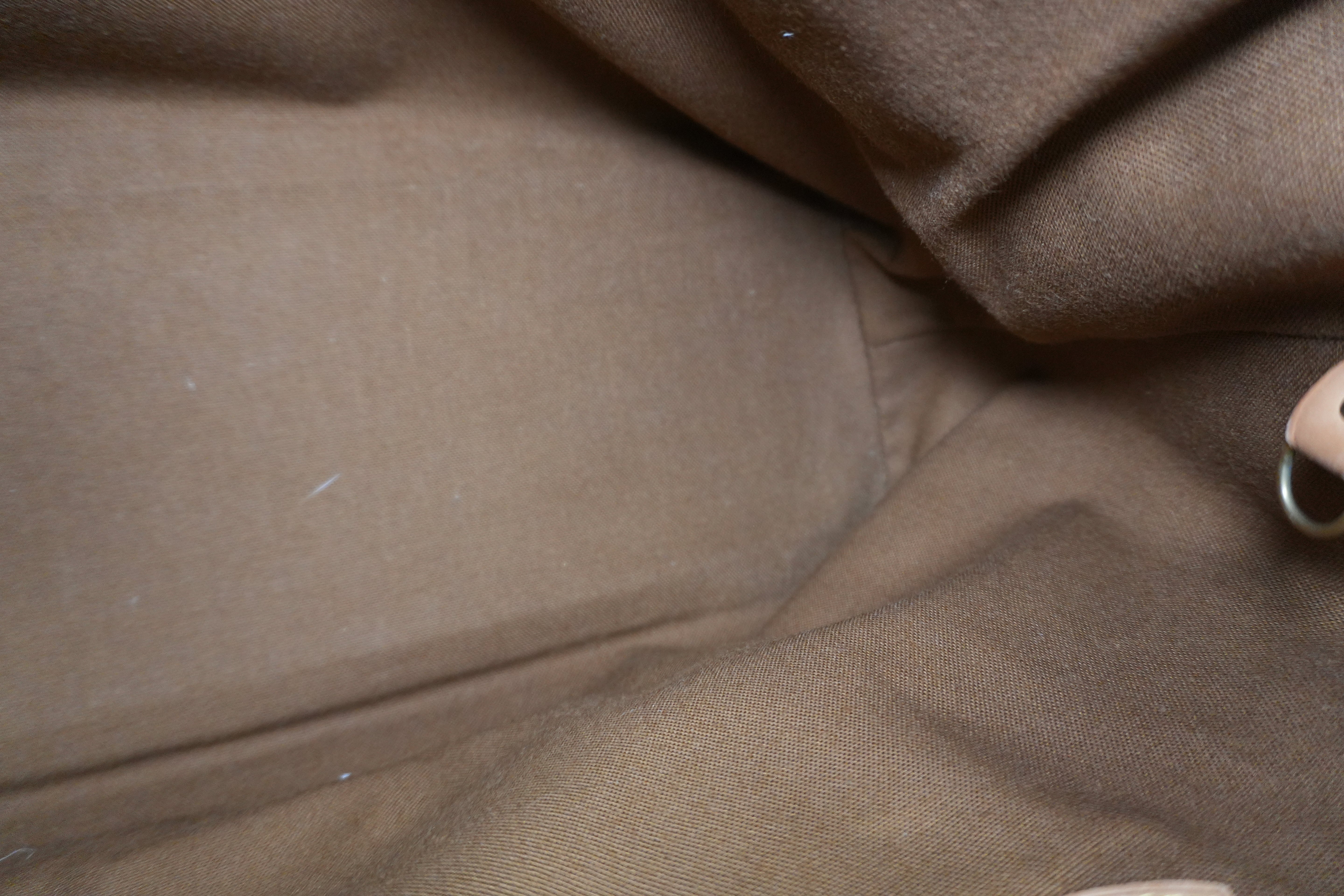 Pre-owned Louis Vuitton Damier Ebene Centenaire Columbine Shoulder Tote Bag