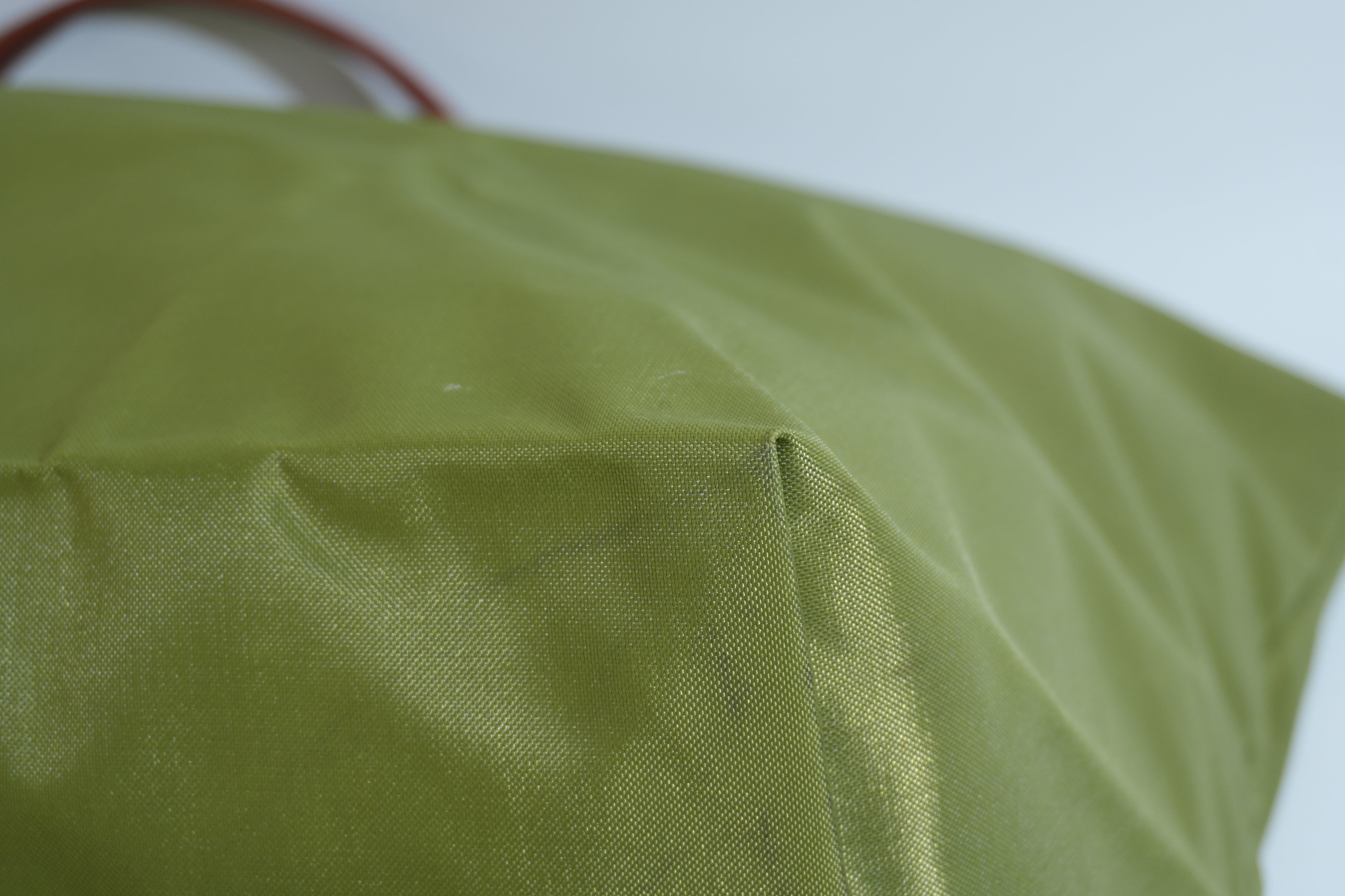 Pre-owned Longchamp Short Handle Handbag Light Green