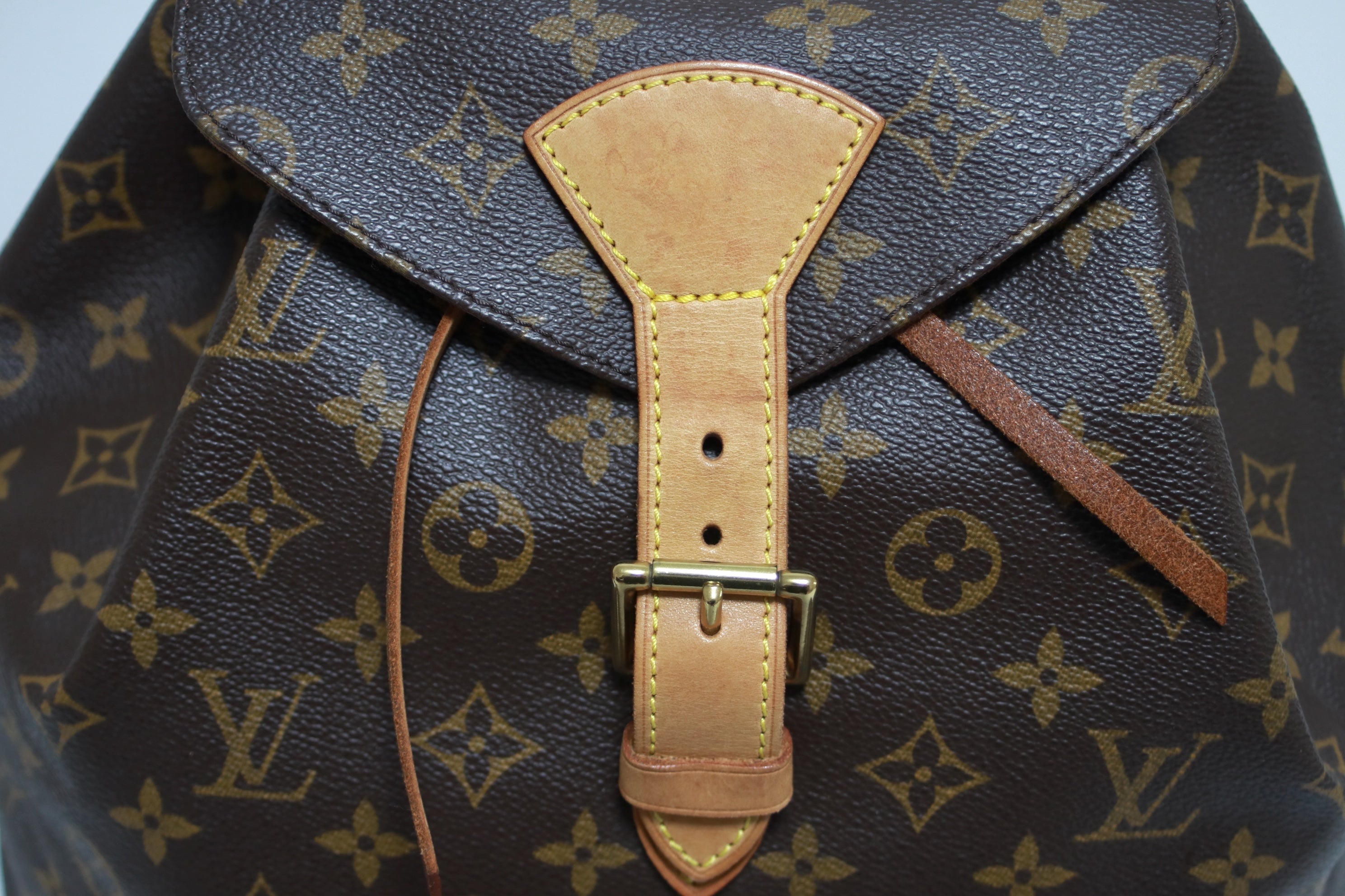 Louis Vuitton Montsouris GM Backpack