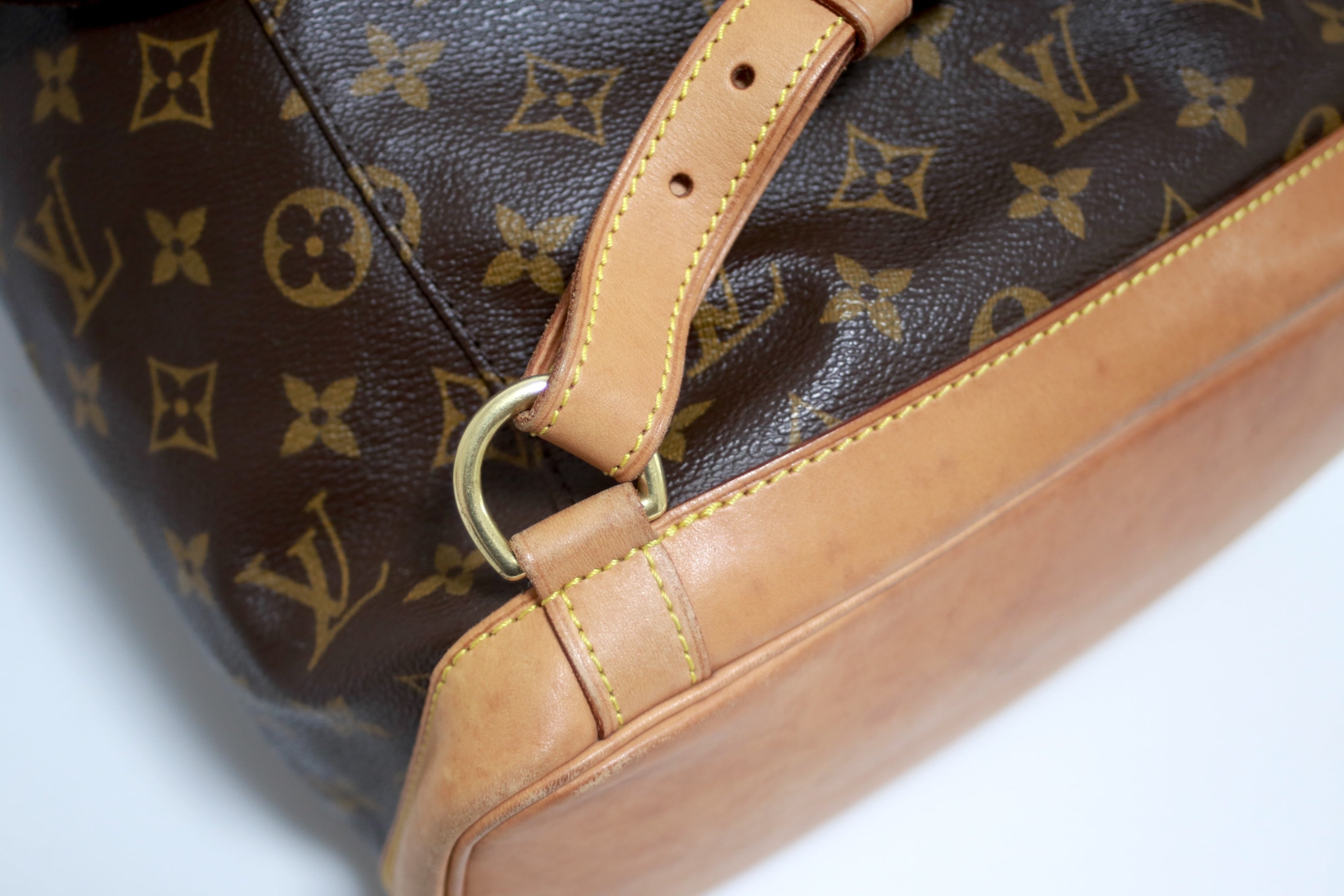 Louis Vuitton Montsouris GM Backpack