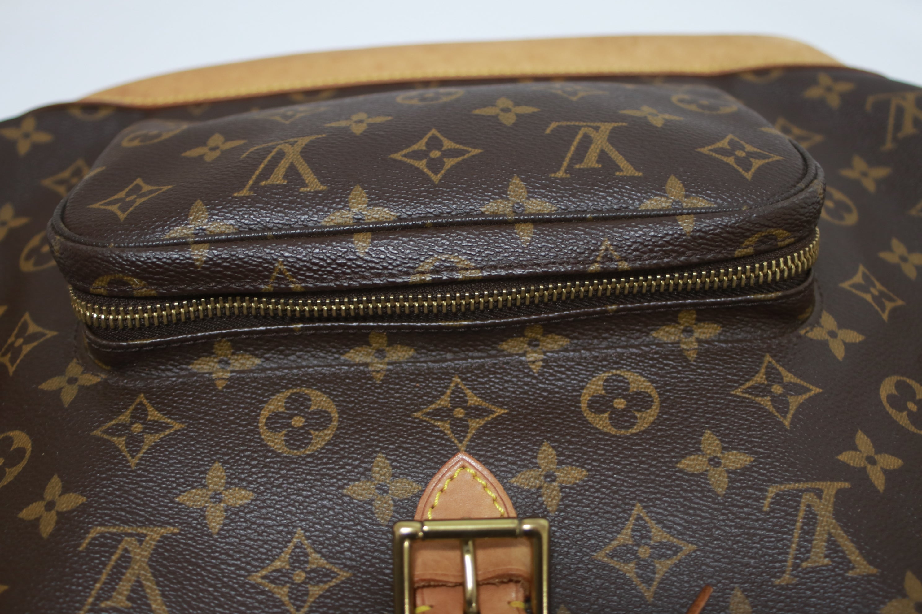 Louis Vuitton Montsouris GM Backpack
