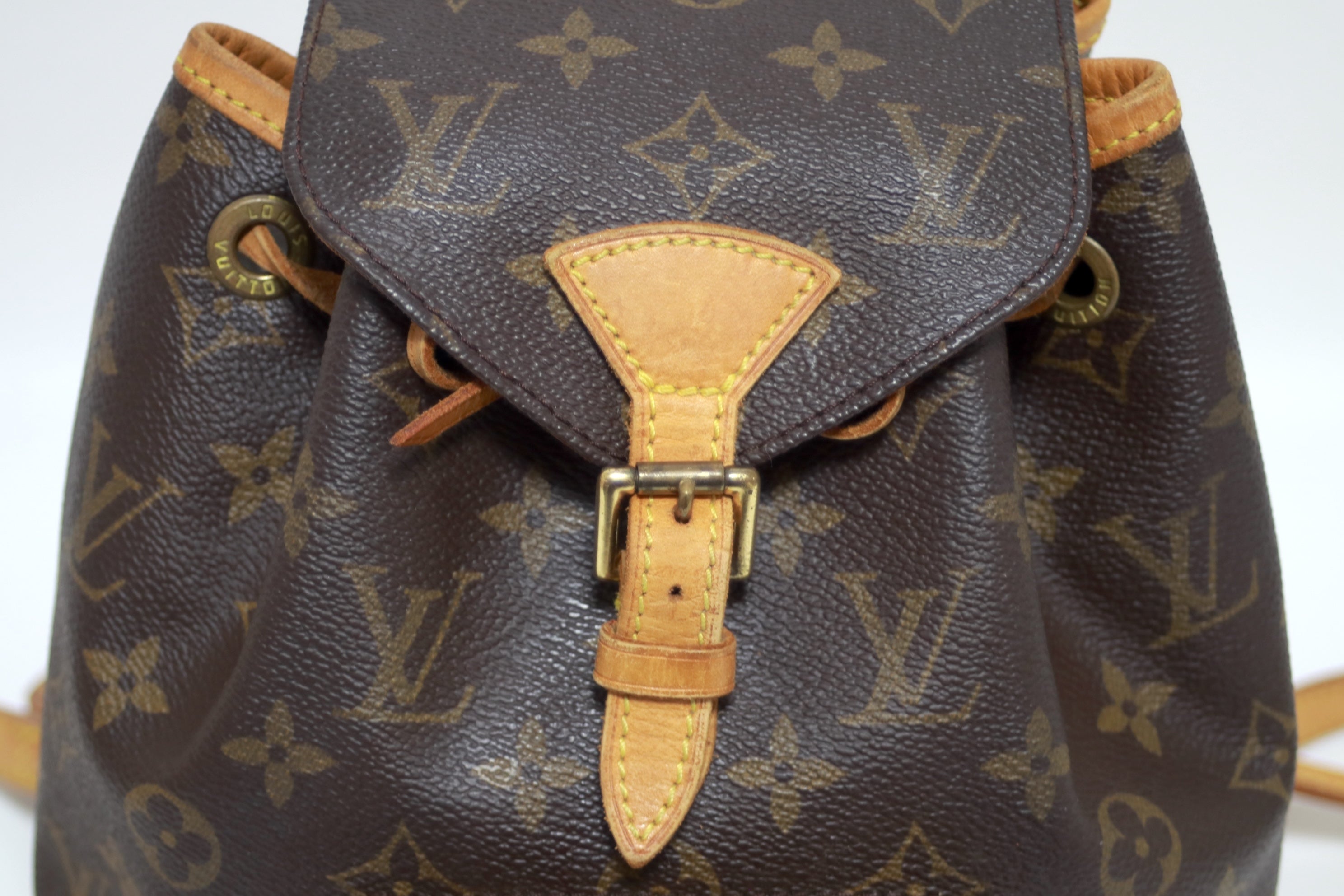 Louis Vuitton Montsouris PM Backpack Used