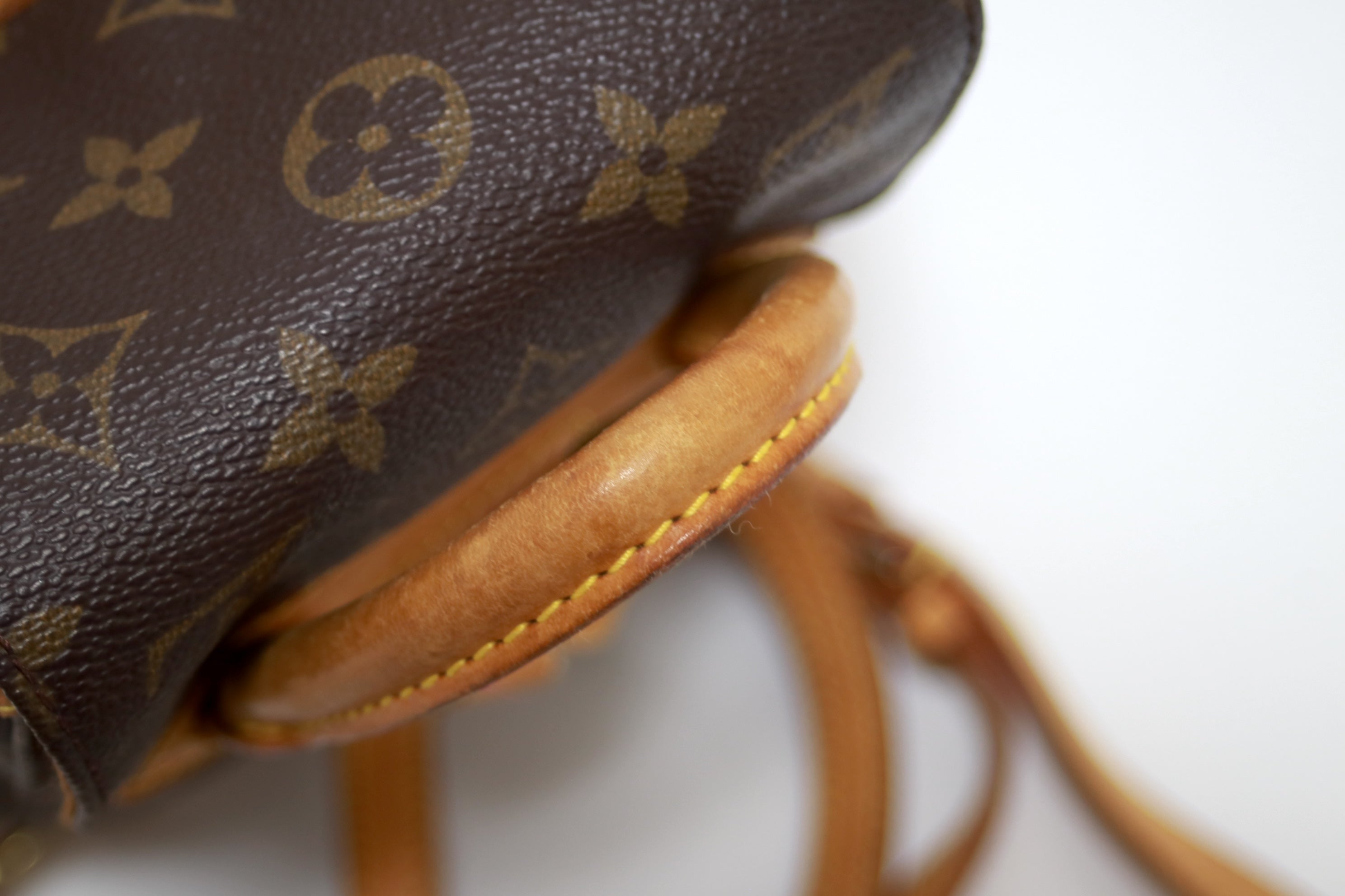 Louis Vuitton Montsouris PM Backpack Used