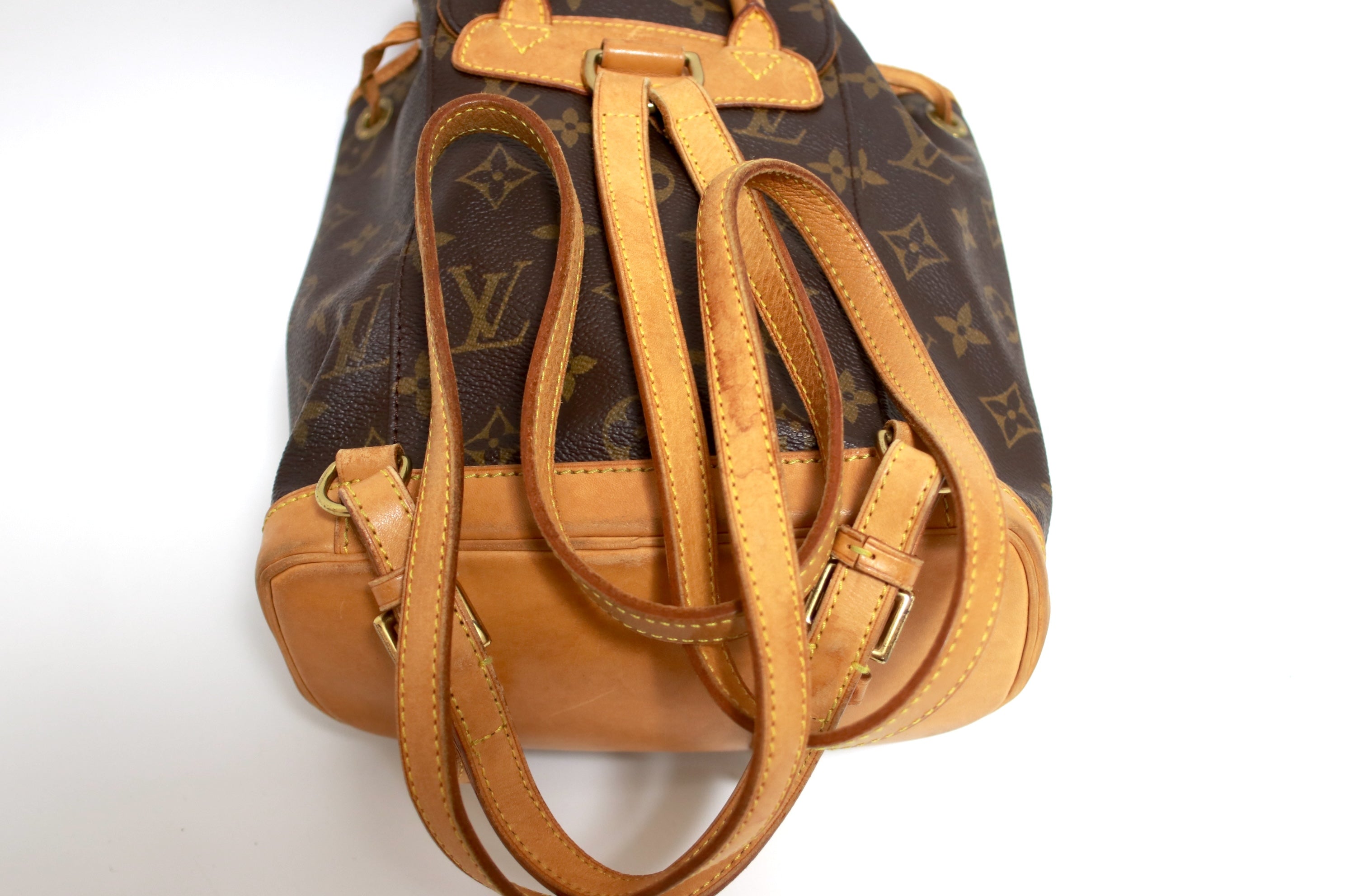 Louis Vuitton Montsouris PM Backpack Used